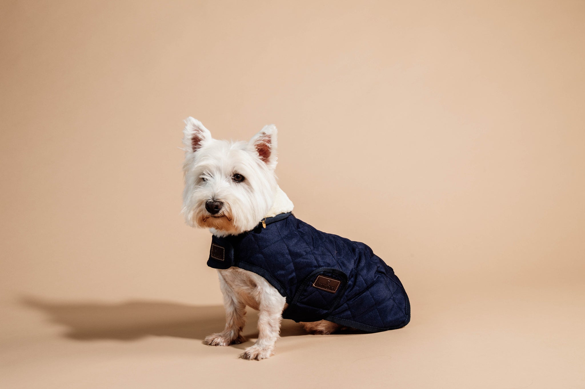 The Kentucky outstanding Dog Coat was made to match the new line of horse rugs. It has a filling of 160gand features an artificial rabbit skin lining for extra comfort which creates tiny air pockets that trap and retain the body heat of the dog. The soft lining also polishes the dog’s hairs and the artificial sheepskin on the neck offers comfort and warmth.