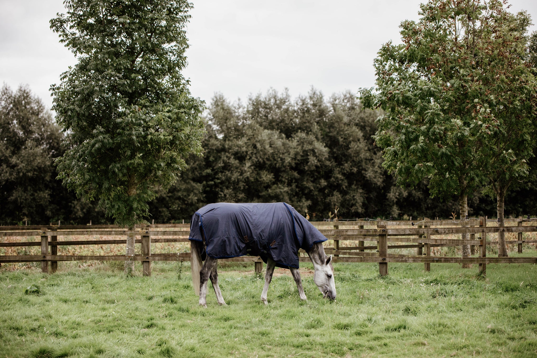 Kentucky Hurricane Turnout Rug All Weather The Kentucky Horsewear, the Turnout Rug Hurricane is a unique new product which features a unique water blocking outer layer for in the field or paddock. Super versatile and hard wearing, the rug will be a reliable product able to guarantee to keep you horse dry in wet weather, even in the heaviest of rain fall. For extreme use in colder climates, we would not advise this turnout rub to be used over a temperature of 10 degrees Celsius.
