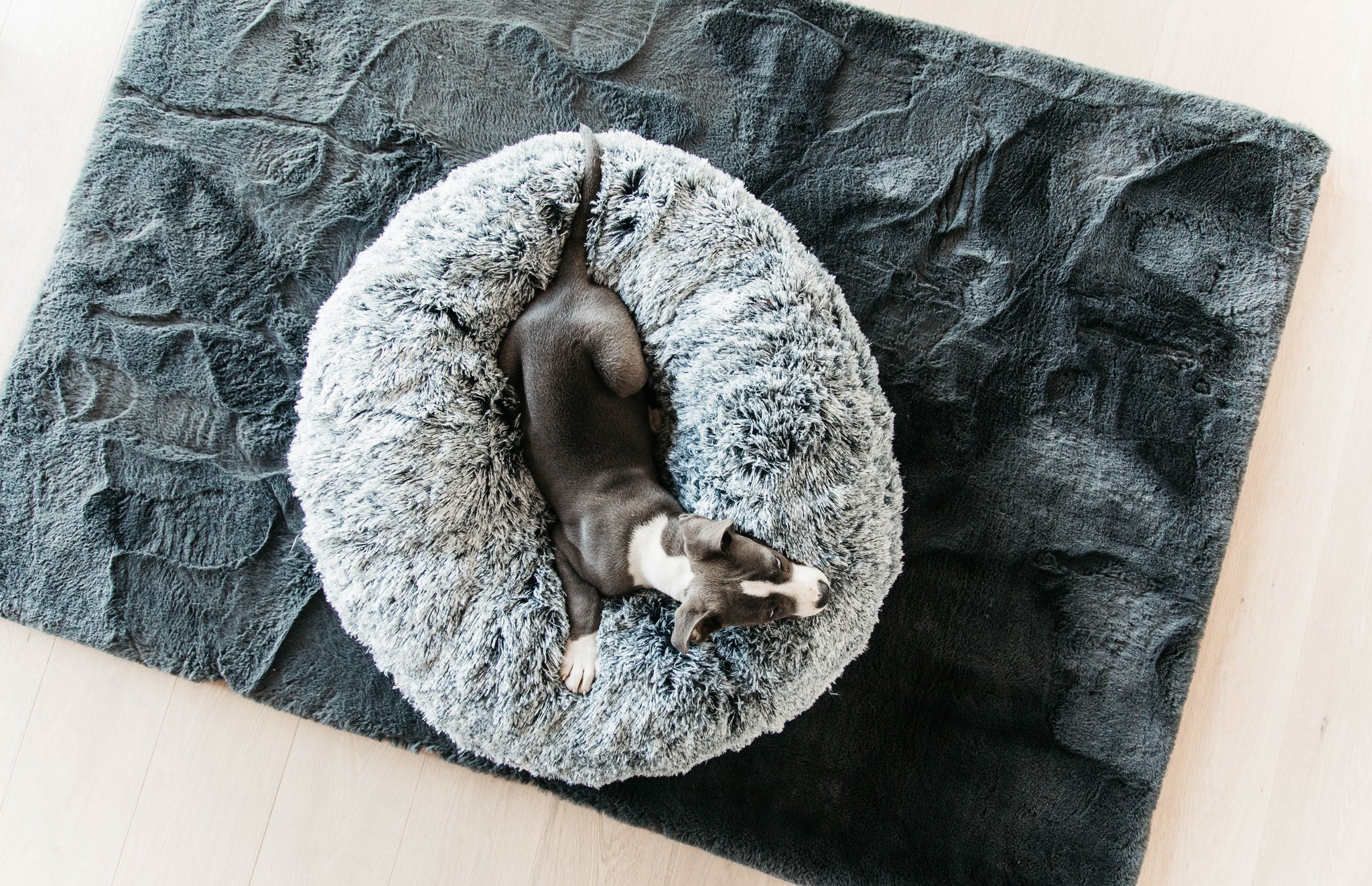 The Kentucky Comfort Donut dog bed has been specially designed to help your dog relax and sleep peacefully. Its donut shape and comfortable fake fur makes the dog feels secure like in a nest, providing ultimate relaxation.