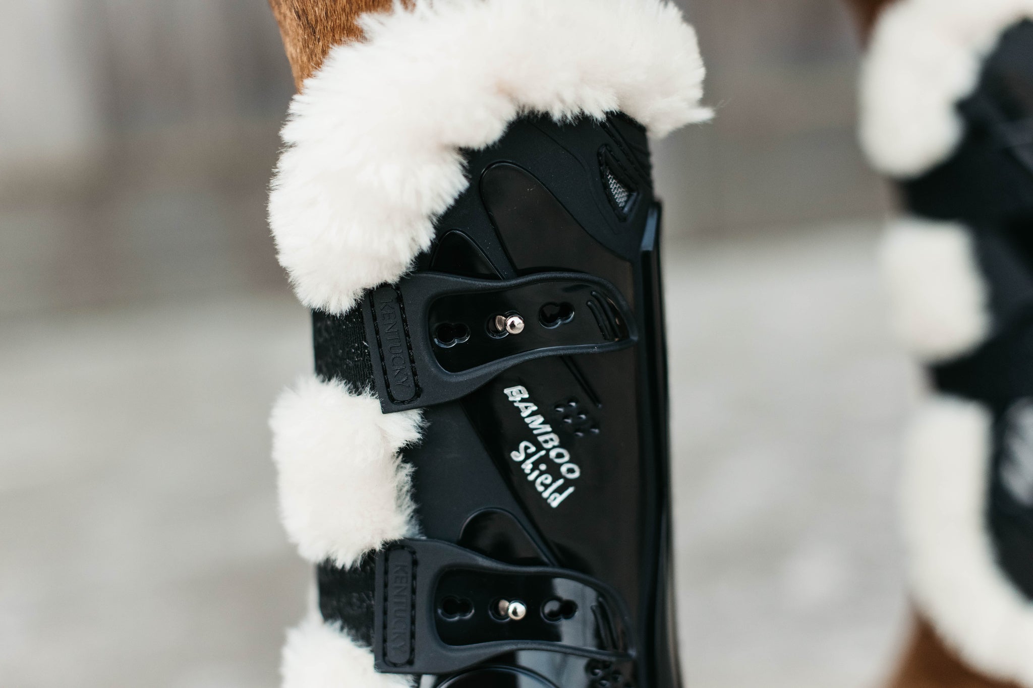 Kentucky Vegan Sheepskin Tendon Boots Bamboo Shield with Elastic fastenings are now available following years of research and development. The Kentucky Bamboo Shield Replaces the Kentucky Tendon Boot.