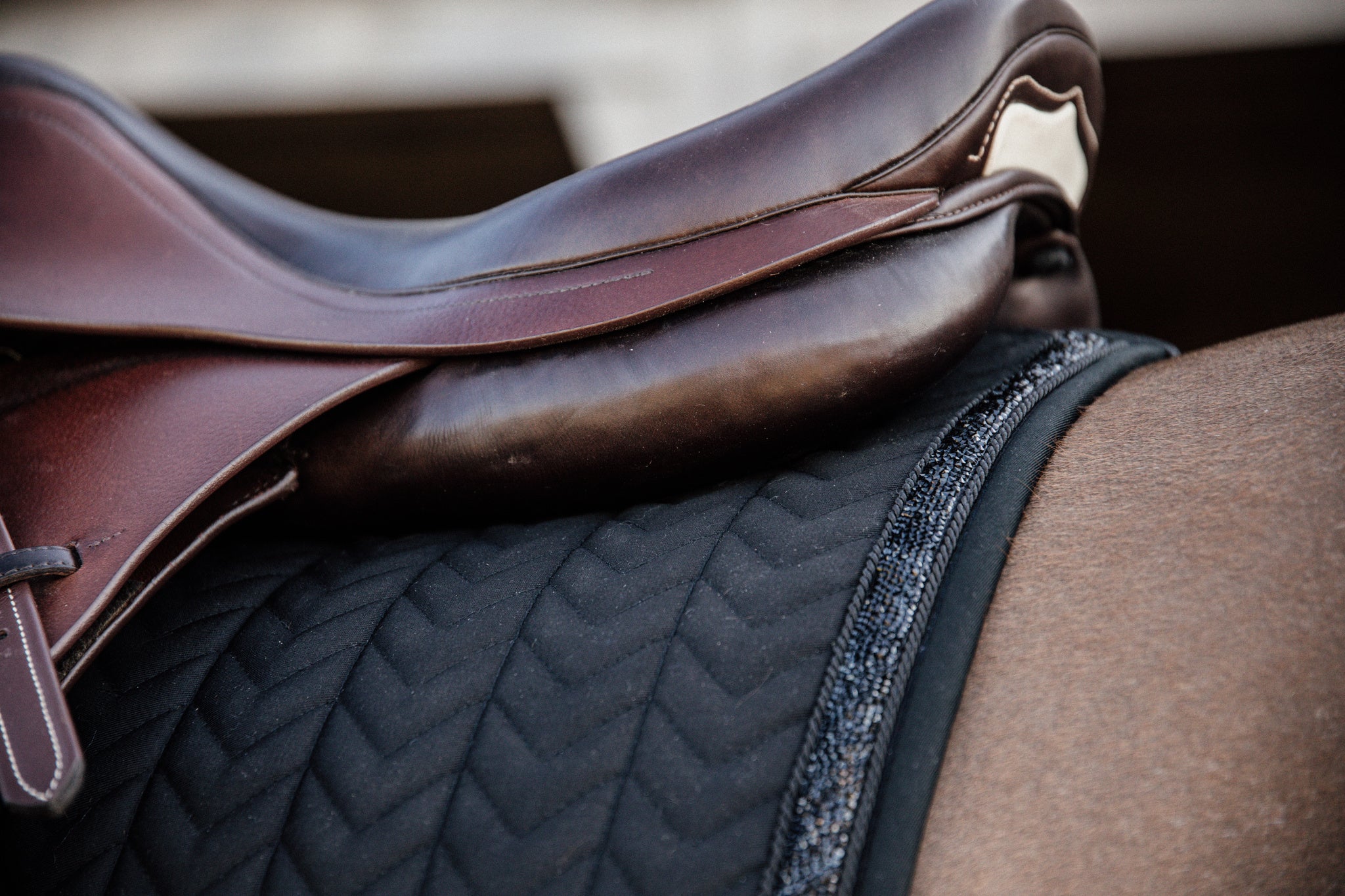 Kentucky’s Saddle Pad Glitter Stone jumping pad is stunning. The stones ooze sophistication and style. The pad is shaped for jumping and provides excellent cushioning between the horse while protecting against friction.