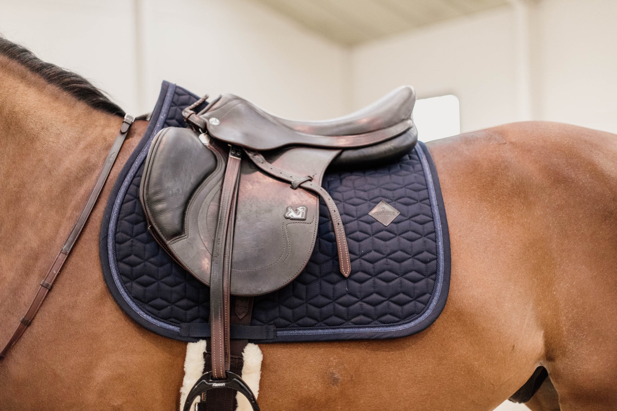 The Kentucky rope and Glitter saddle pad is a classic elegant pad with a sophisticated shimmer. The pad has a clutter strip and a plain self coloured braid. Matching Fly Vale Available