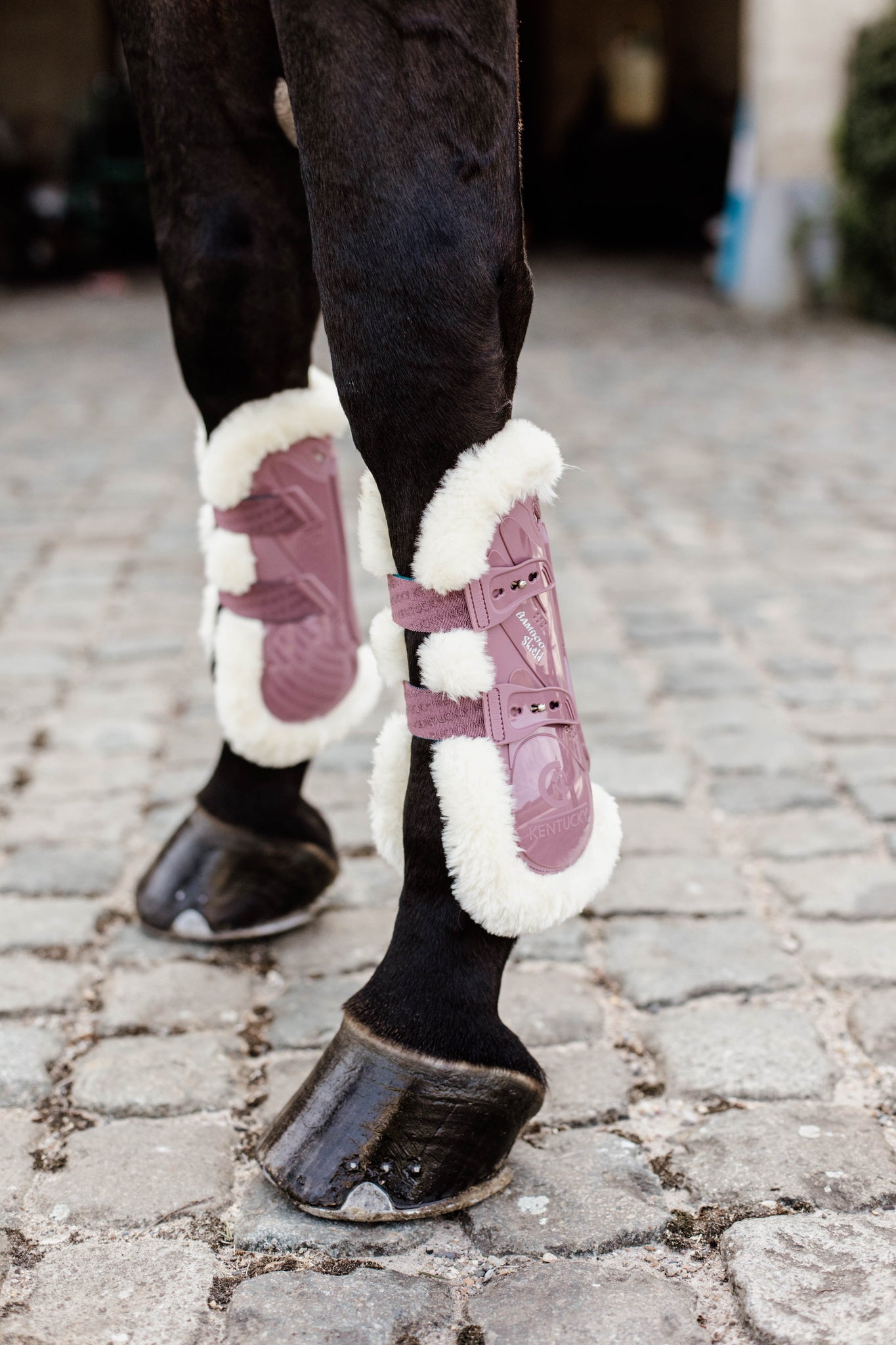 Kentucky Vegan Sheepskin Tendon Boots Bamboo Shield with Elastic fastenings are now available following years of research and development. The Kentucky Bamboo Shield Replaces the Kentucky Tendon Boot.