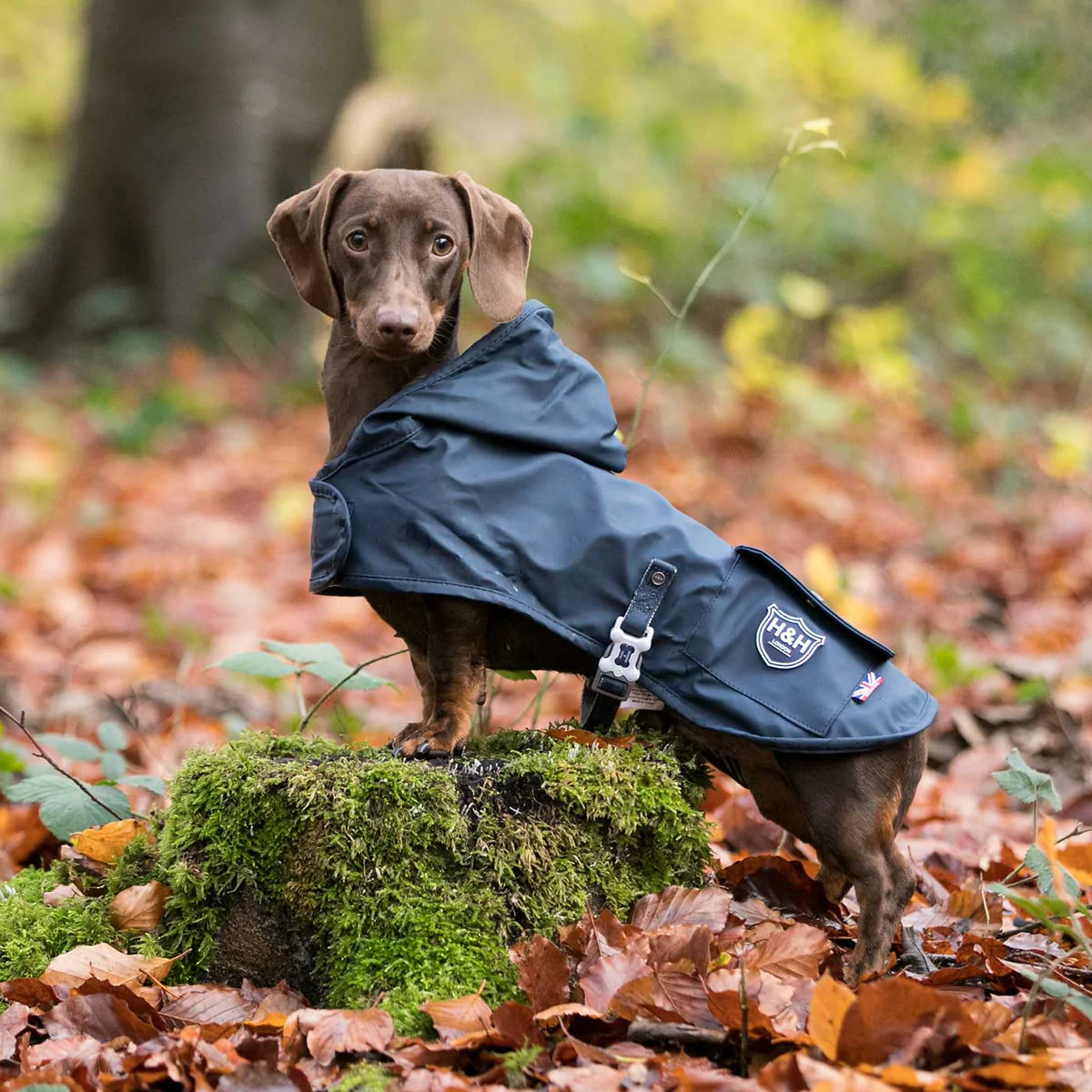 The hooded raincoat by Hugo and Hudson is available in red and navy. This coat is water resistant and very lightweight, perfect for rain showers or a light layer.