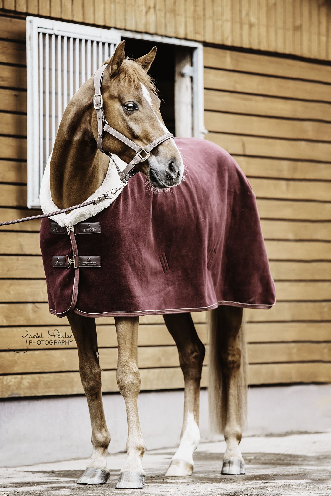 Kentucky Fleece Show Rug Heavy – Bordeaux The Heavyweight Fleece Show Rug in Bordeaux is NEW for 2020. With all the same characteristics of the original Heavyweight Fleece Show Rug, the Bordeaux will be sort after this year. With the look and hand feel of the authentic wool rug, without all the inconveniences that a wool rug can have.