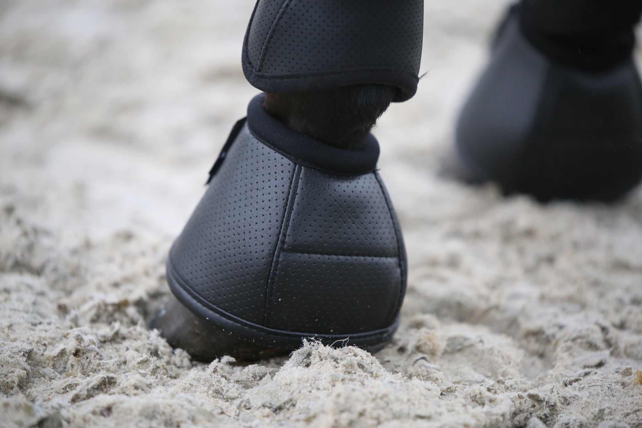 The Kentucky Horsewear Air Tech Over Reach Boots offer vital protection for your horse. Made with shock absorbing gel these are perfect procreation for your horse. The Air Tech Over Reach Boots provide excellent shock absorption and protection against over reaches.
