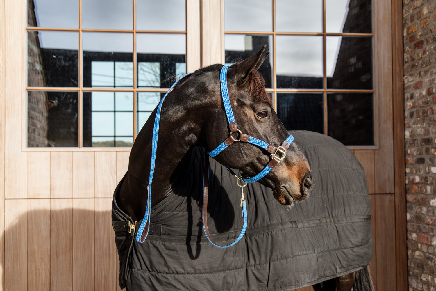 The Plaited Nylon Halter is made of artificial leather (100% animal friendly) and has a nylon braided design. This artificial leather does not absorb water or dirt, does not break or change color.