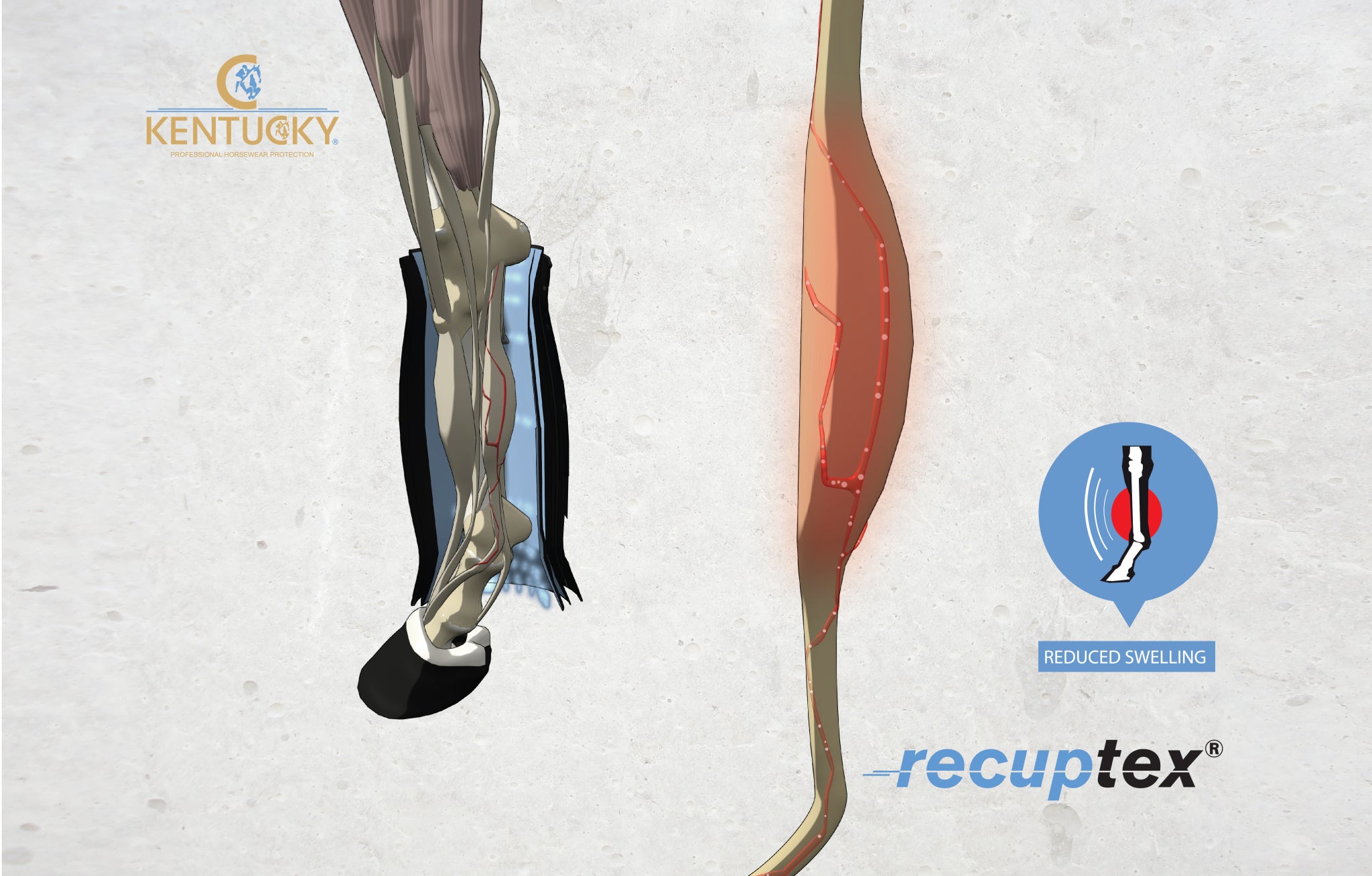 Kentucky Magnetic Therapy Recuptex Stable Boot
