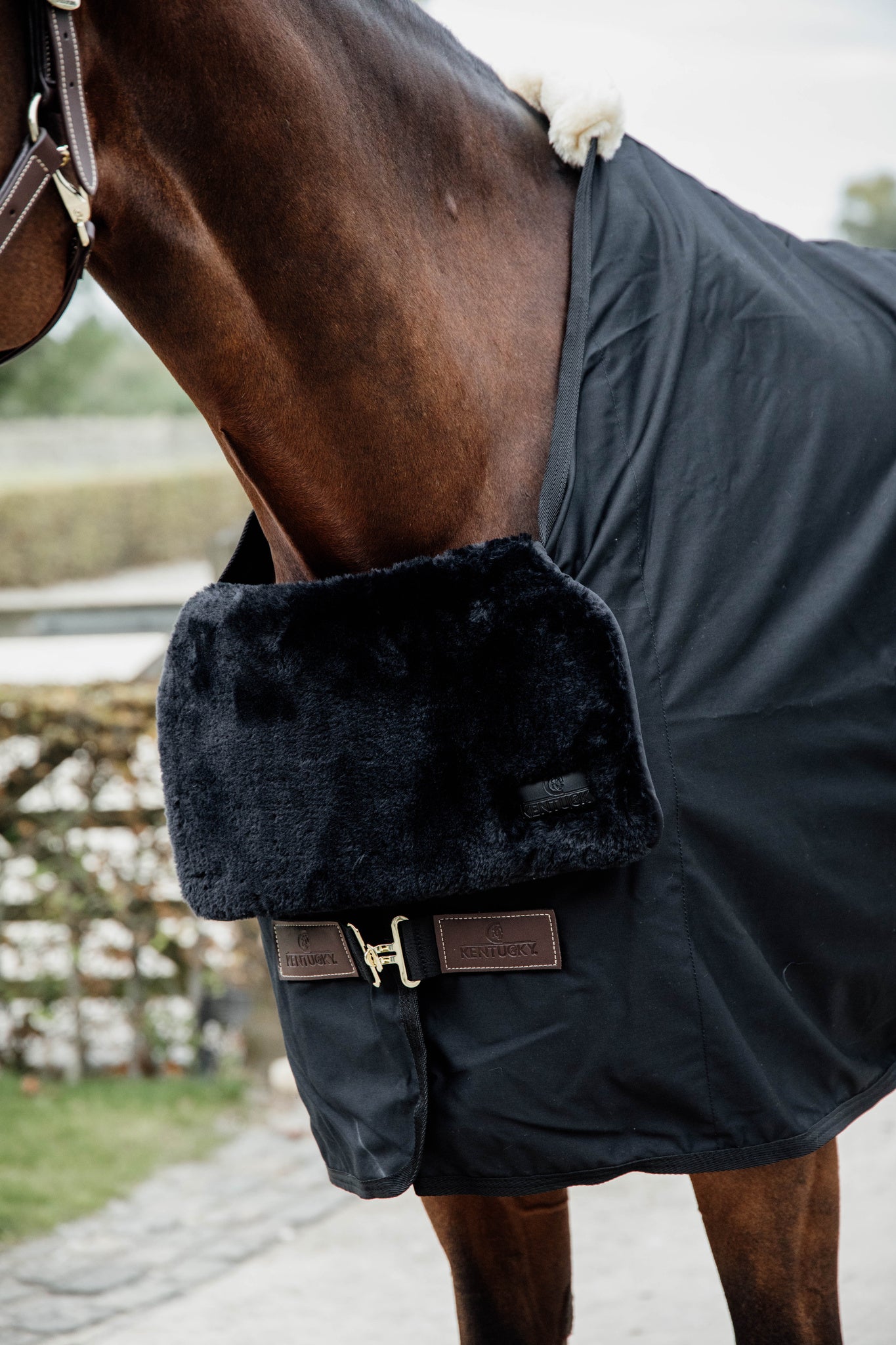 The Kentucky Horsewear Horse Bib Chest Protection Sheepskin is great to protect your horse from horse rugs that rub. Made in one piece of high quality artificial sheepskin that will fold in half to be positioned in front of the horse rug. Simply place the sheepskin side against the horse’s chest. As a result this will provide maximum comfort for your horse.