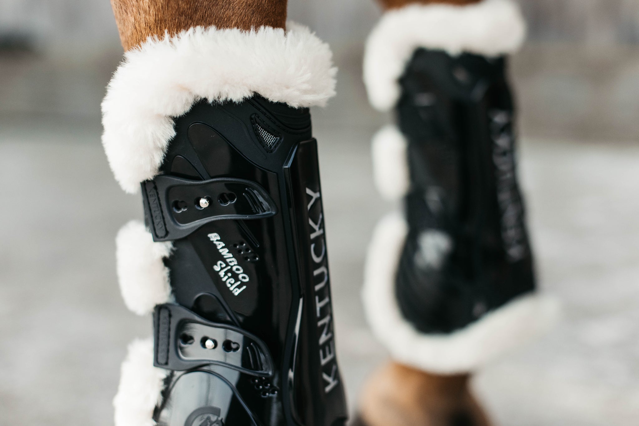 Kentucky Vegan Sheepskin Tendon Boots Bamboo Shield with Elastic fastenings are now available following years of research and development. The Kentucky Bamboo Shield Replaces the Kentucky Tendon Boot.