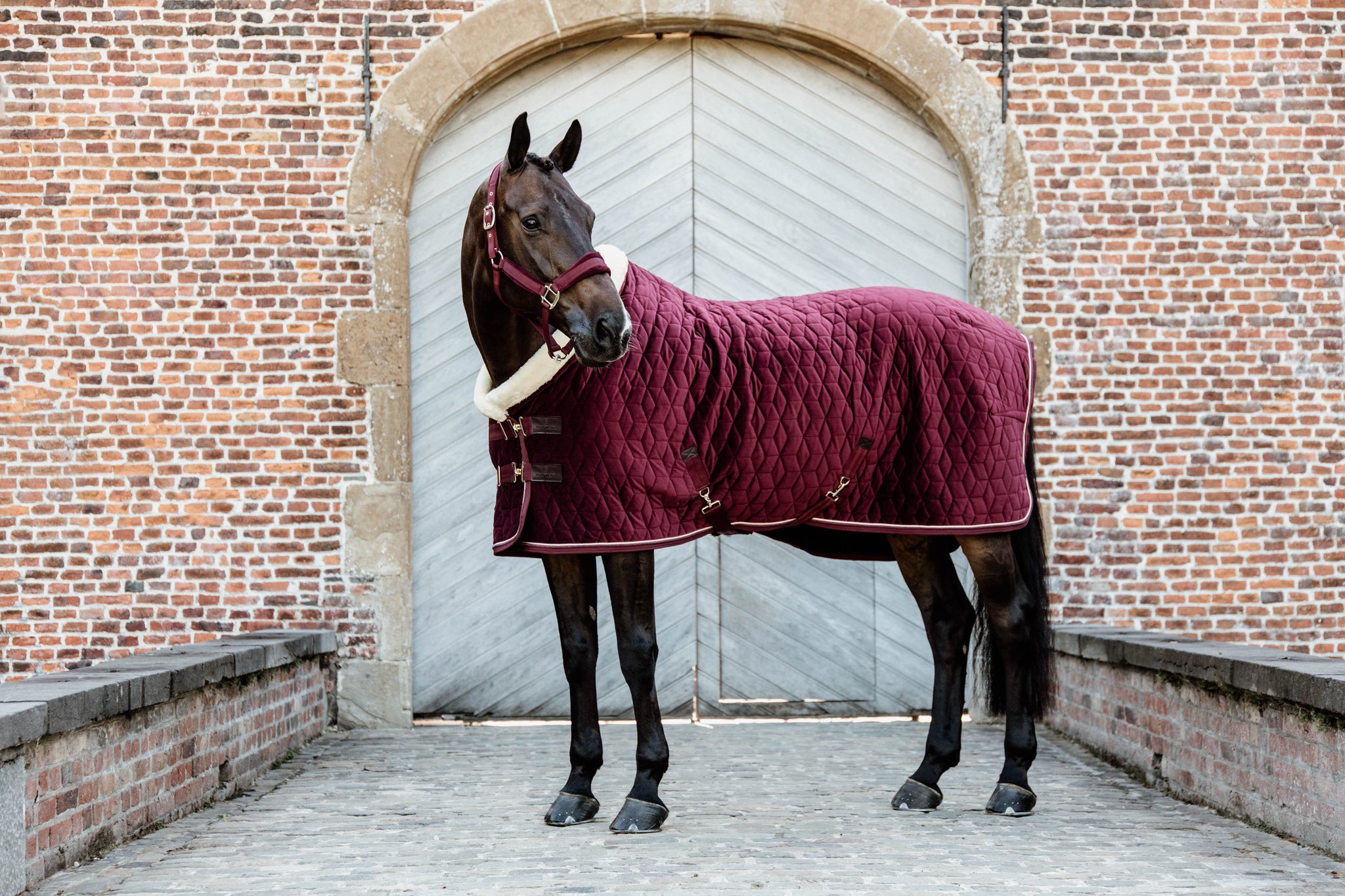 Kentucky Burgundy Velvet Show Rug