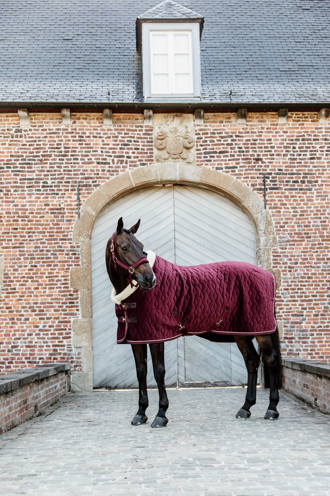 Kentucky Burgundy Velvet Show Rug