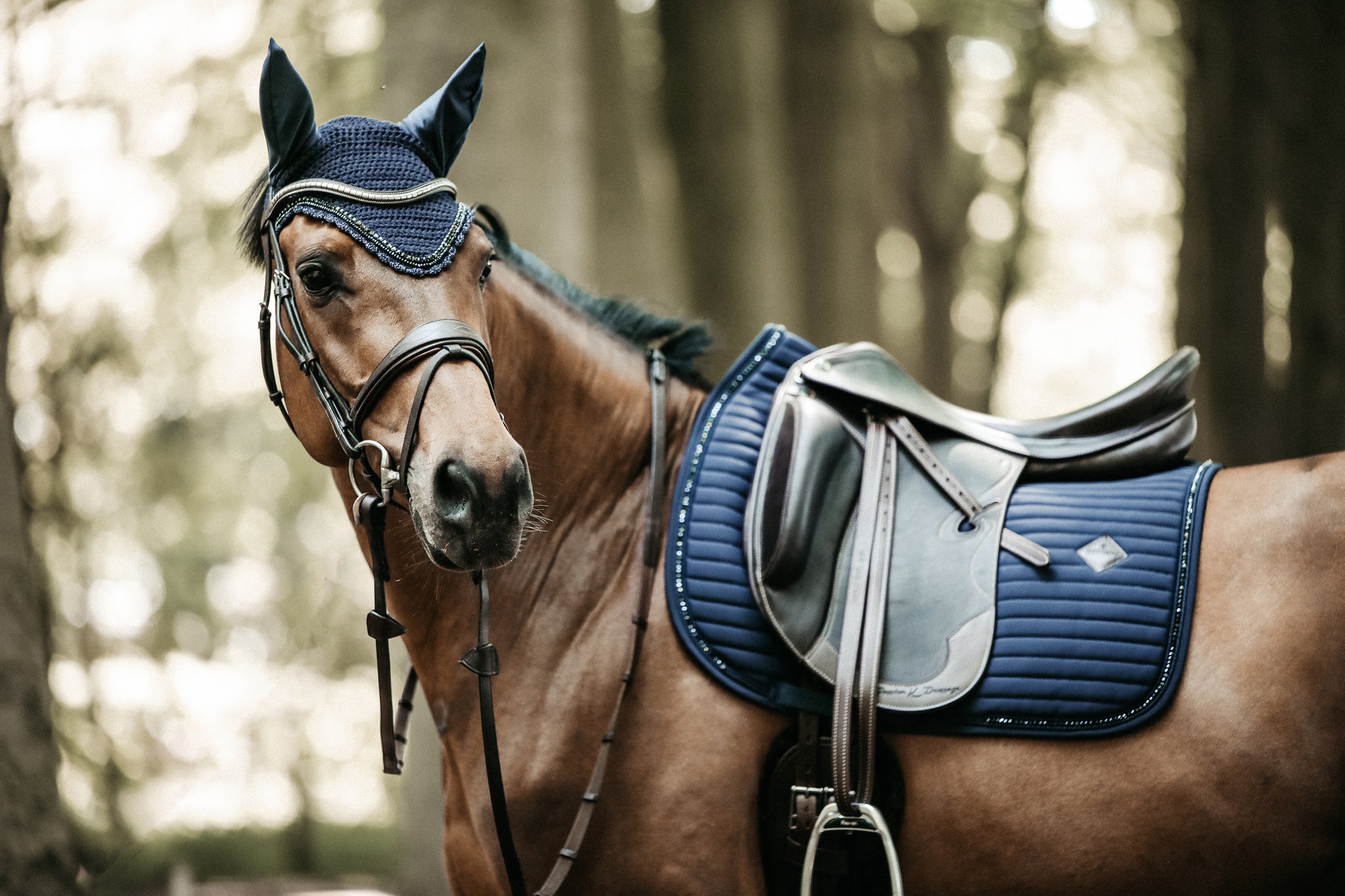 The Kentucky pearls dressage pads exude luxury. The self coloured pearls add a sophisticated sparkle. matching fly vale available.