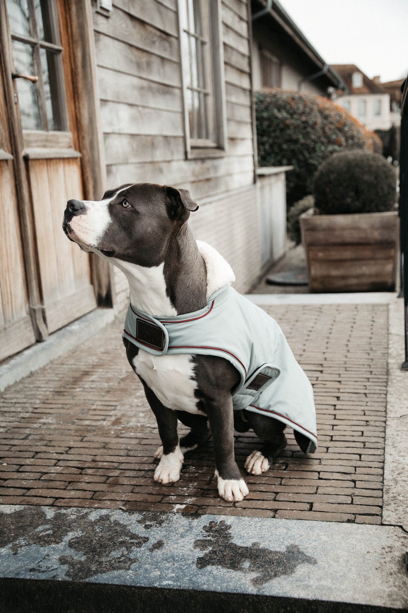 The Kentucky Grey Waterproof Dog Coat offers every dog a dry, warm rug during the cold and wet winter days. Filled with a warming 160g and also featuring an artificial faux fur lining for extra comfort. This also creates tiny air pockets that trap and retain the body heat of the dog.