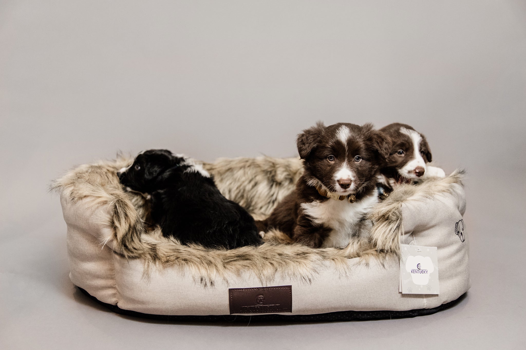 The Kentucky Dog Bed Cave will make your dog feel very cozy and spoiled. Made of comfortable and super soft racoon faux fur on the inside, this bed will ensure your dog feels snug when curling up for a snooze.