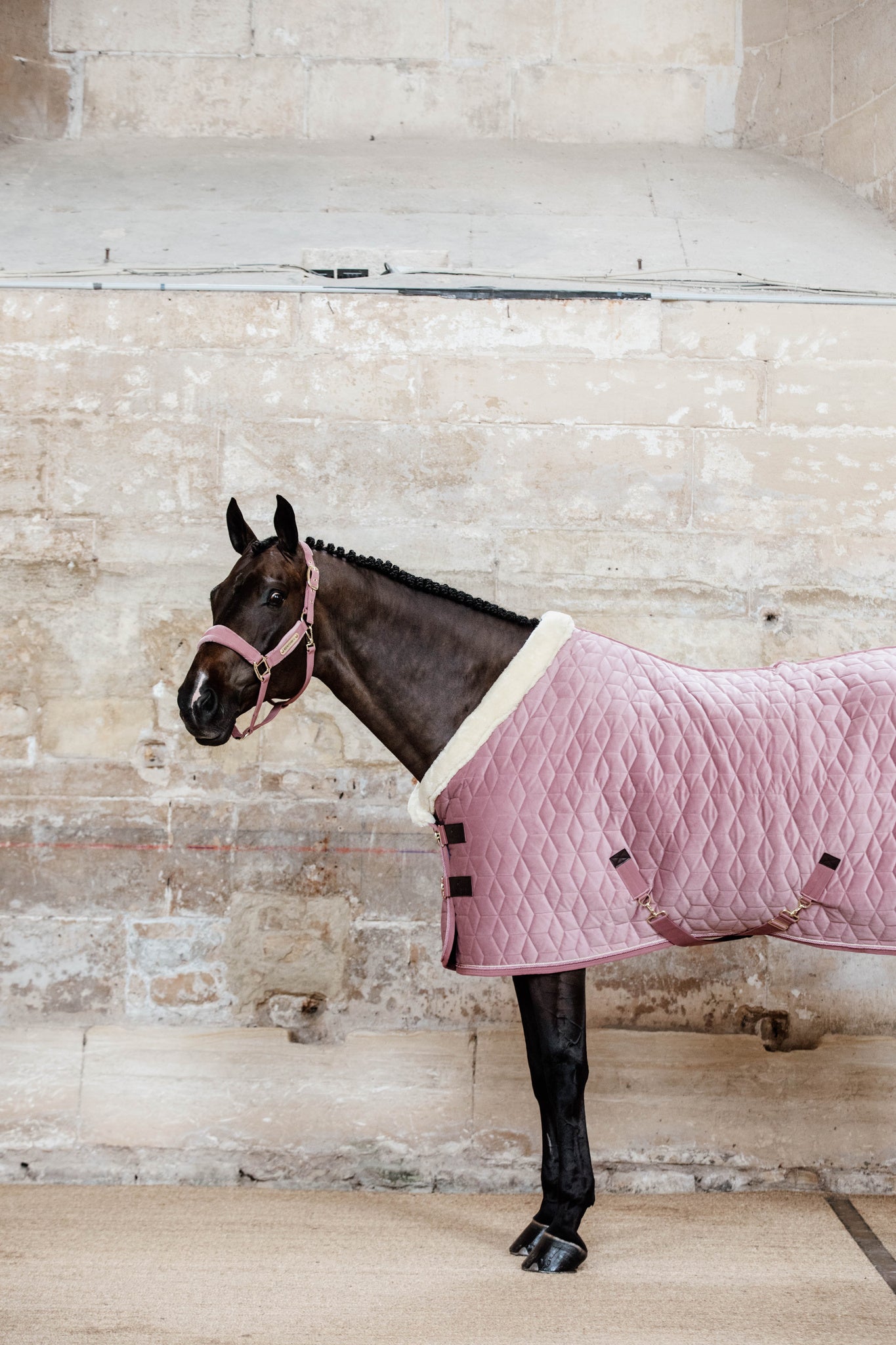 Kentucky Pink Velvet Show Rug