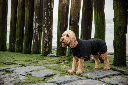 The Kentucky Dog Coat Towel comes very handy to dry your dog after a bath or a rainy walk. The dog cot is made of 100% microfiber polyester which helps absorb humidity faster. This coat features three hook and loop closures for the neck, belly, and front.