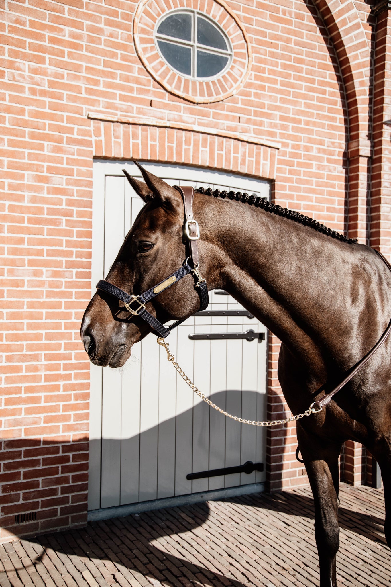 Present your horse in style with this Kentucky leather chain lead. This lead is made from artificial leather, making it water and dirty proof and providing you with easy maintenance. Extremely comfortable to hold with a rolled leather finish and hand loop.