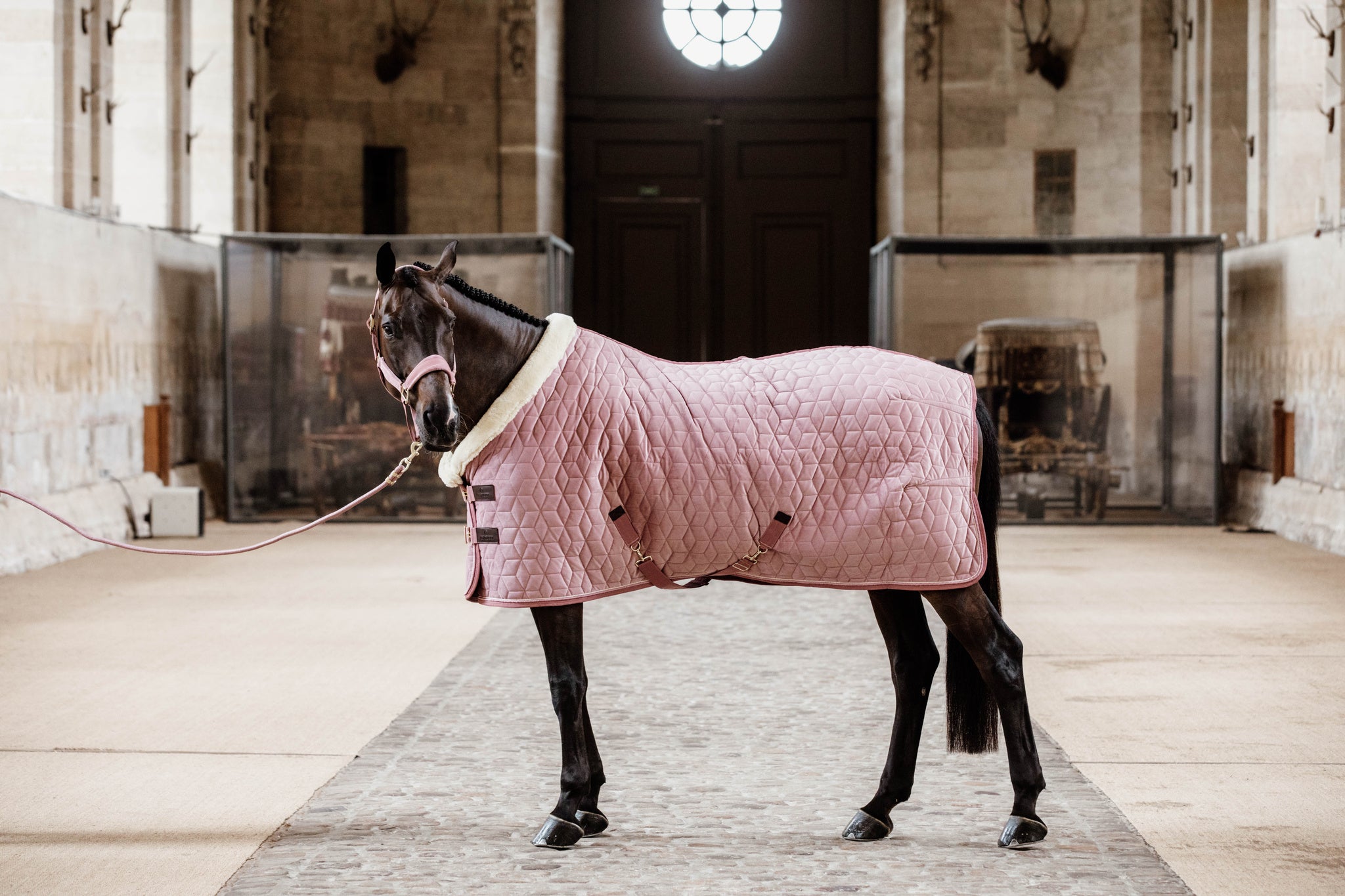 Kentucky Pink Velvet Show Rug