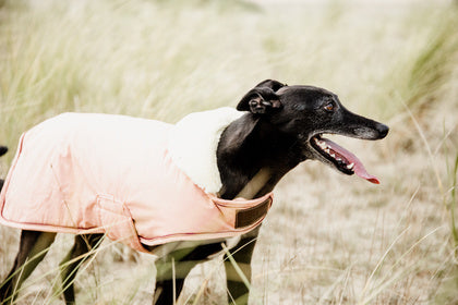 The Kentucky Coral Waterproof Dog Coat offers every dog a dry, warm rug during the cold and wet winter days. Filled with a warming 160g and also featuring an artificial faux fur lining for extra comfort. This also creates tiny air pockets that trap and retain the body heat of the dog.