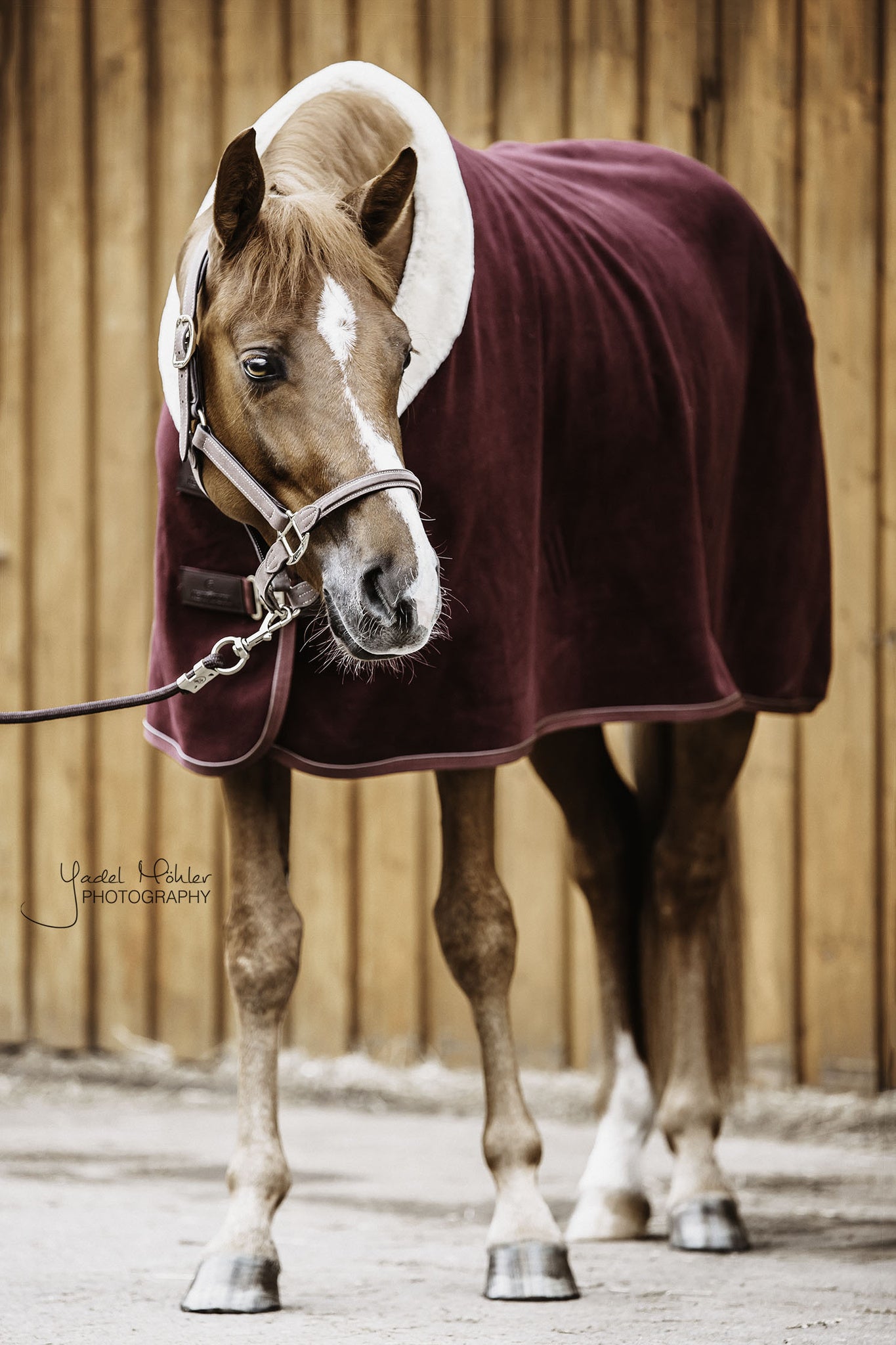 Kentucky Fleece Show Rug Heavy – Bordeaux The Heavyweight Fleece Show Rug in Bordeaux is NEW for 2020. With all the same characteristics of the original Heavyweight Fleece Show Rug, the Bordeaux will be sort after this year. With the look and hand feel of the authentic wool rug, without all the inconveniences that a wool rug can have.