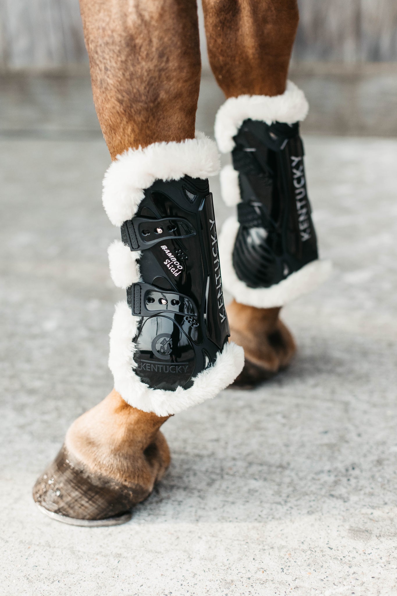 Kentucky Vegan Sheepskin Tendon Boots Bamboo Shield with Elastic fastenings are now available following years of research and development. The Kentucky Bamboo Shield Replaces the Kentucky Tendon Boot.