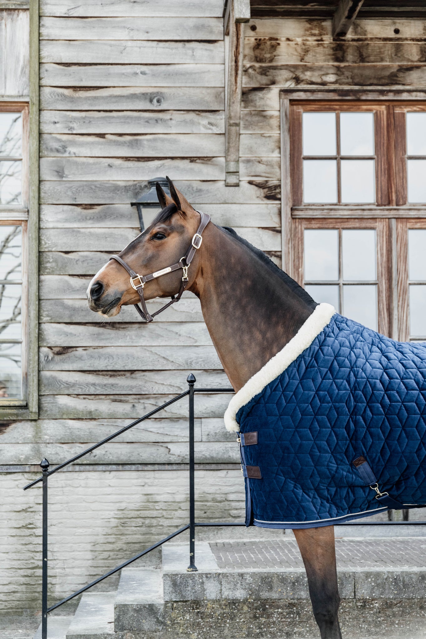 Kentucky Blue Velvet Show Rug