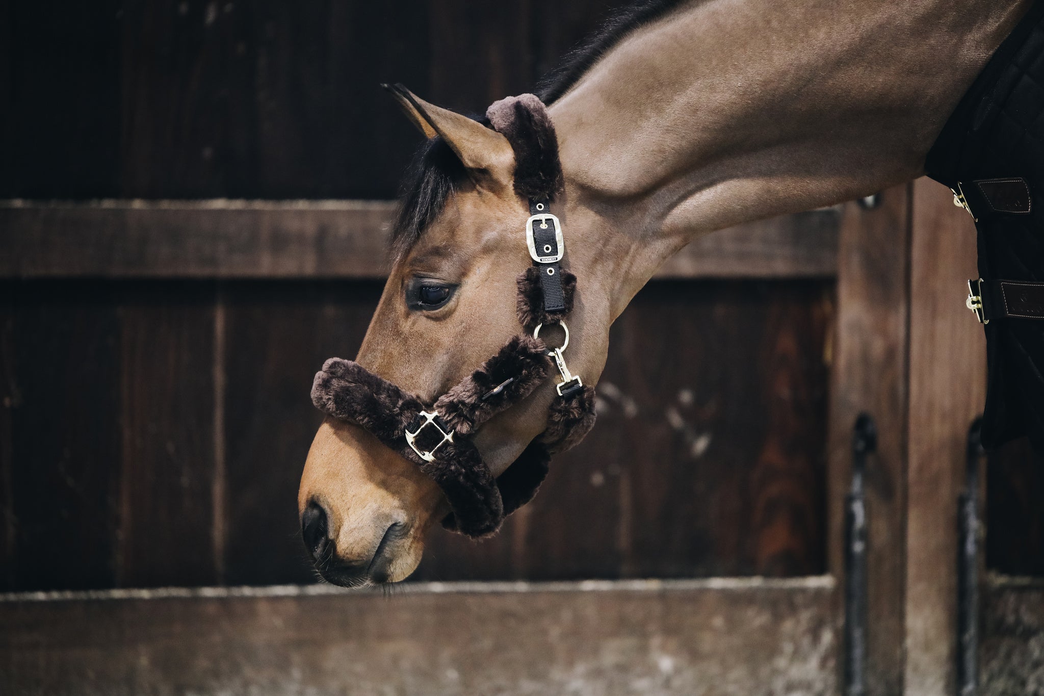 The Kentucky Horsewear Sheepskin Shipping Halter is an extremely soft and comfortable halter mainly used during transportation.
