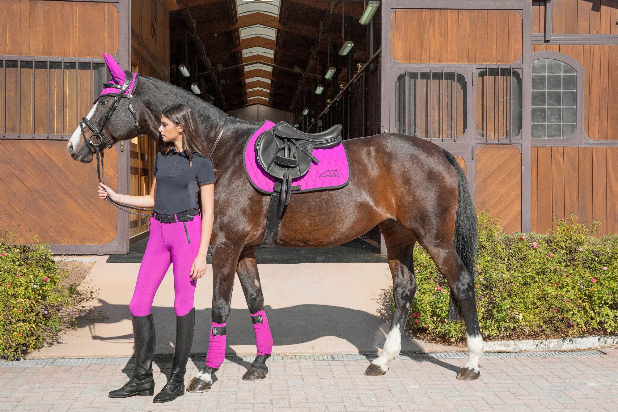 Reduced! Equiline Pink Contrast Trim Fly Veil