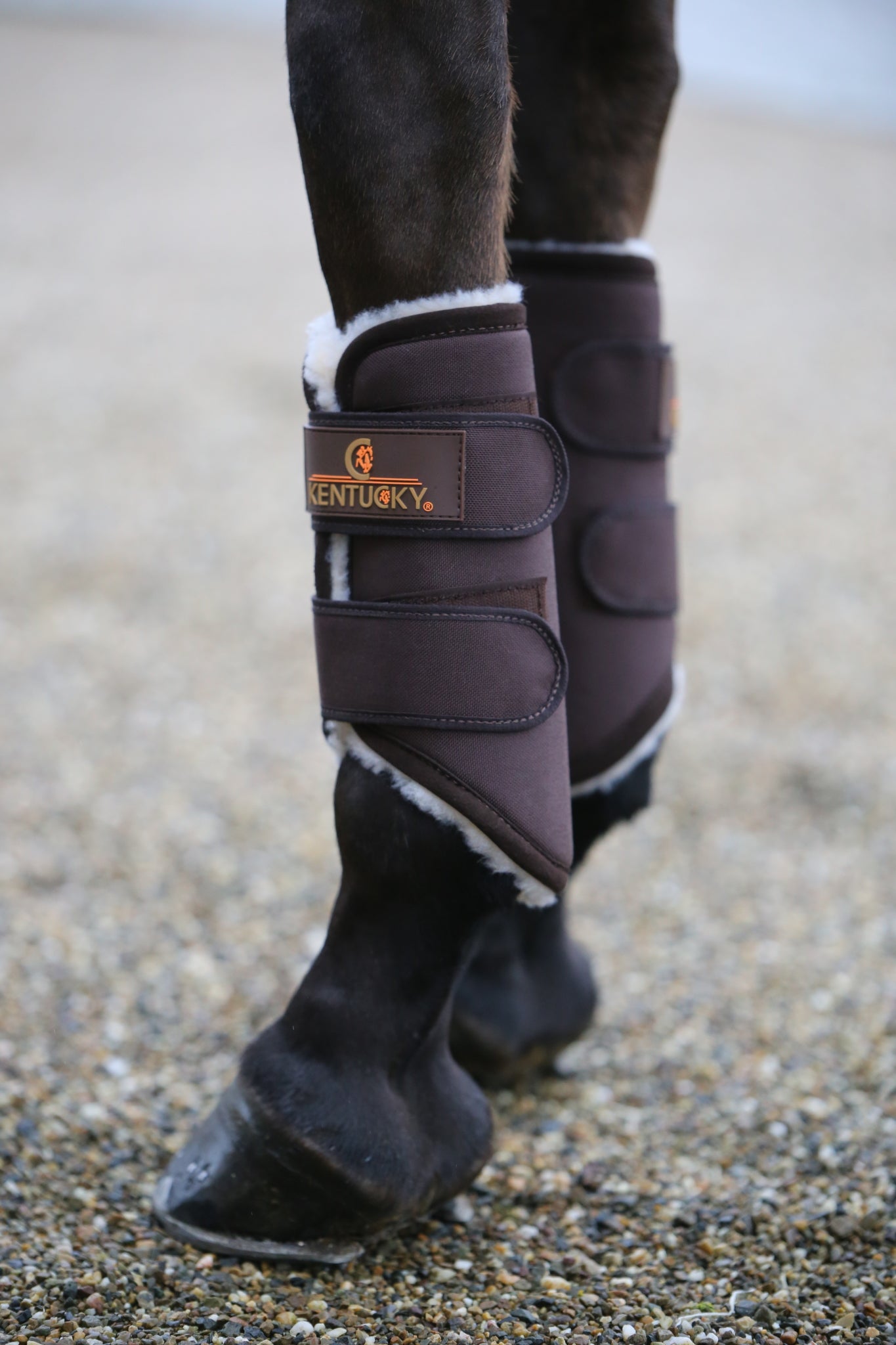 These Kentucky boots can be used for exercise or turnout making them very versatile. They are breathable, durable and waterproof so will withstand the winter weather and help keep your horses legs safe, warm and dry.