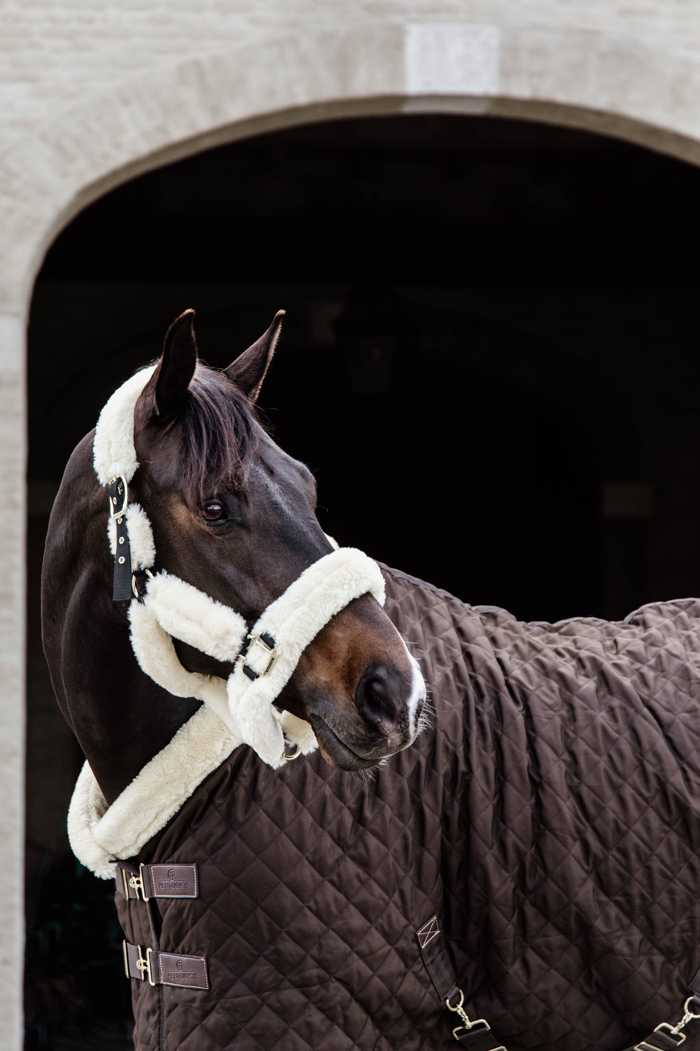 The Show Rug is one of Kentucky’s most iconic products. The rug was designed to have an easy and comfortable rug on competitions. Therefore, the rug is easily adjustable to the needs of your horse. The sophisticated look of the show rug will catch everyone’s eyes at competitions. As the Show Rug also serves as a stable rug, you can unload your horse without worrying about changing rugs.
