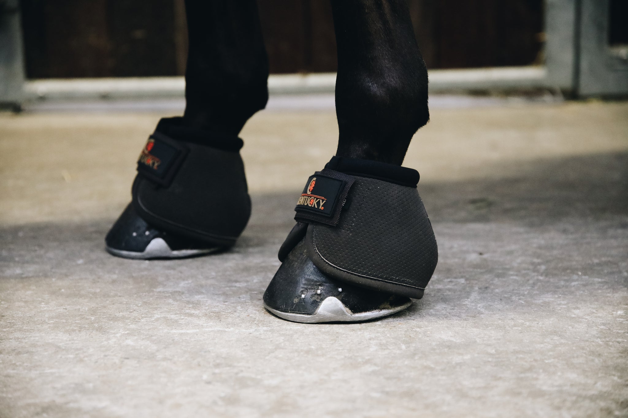 The Kentucky Horsewear Air Tech Over Reach Boots offer vital protection for your horse. Made with shock absorbing gel these are perfect procreation for your horse. The Air Tech Over Reach Boots provide excellent shock absorption and protection against over reaches.