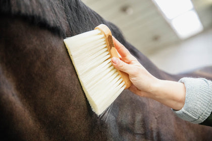 The Middle Brush Long is perfect for a fast overbrushing of your horse and rugs.