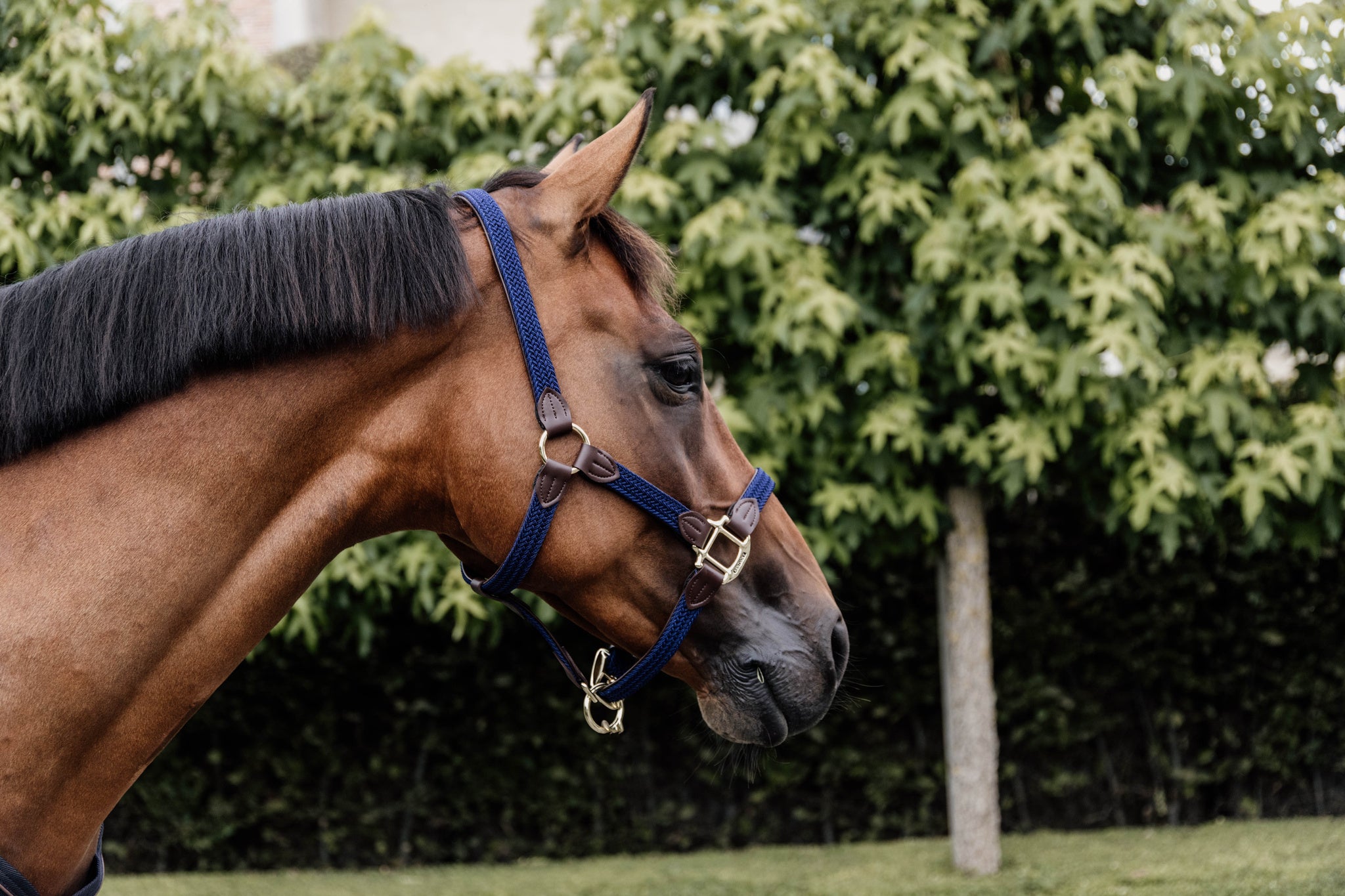 The Plaited Nylon Halter is made of artificial leather (100% animal friendly) and has a nylon braided design. This artificial leather does not absorb water or dirt, does not break or change color.
