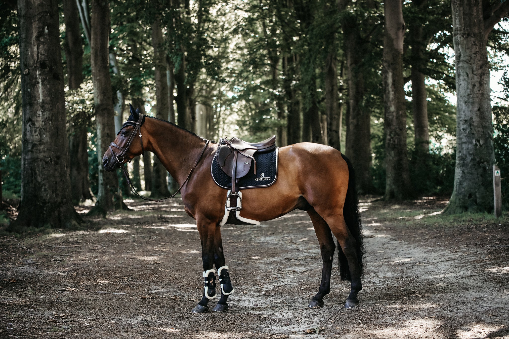 Our Saddle Pad Leather Fishbone is shaped for jumping and provides excellent cushioning between the horse’s back and the saddle while protecting against friction. This saddle pad has a unique fishbone quilting. It has no annoying straps to attach to the saddle, only a nylon strap for the girth. The Saddle Pad Leather Fishbone features a very classy leather binding and the stylish Kentucky logo