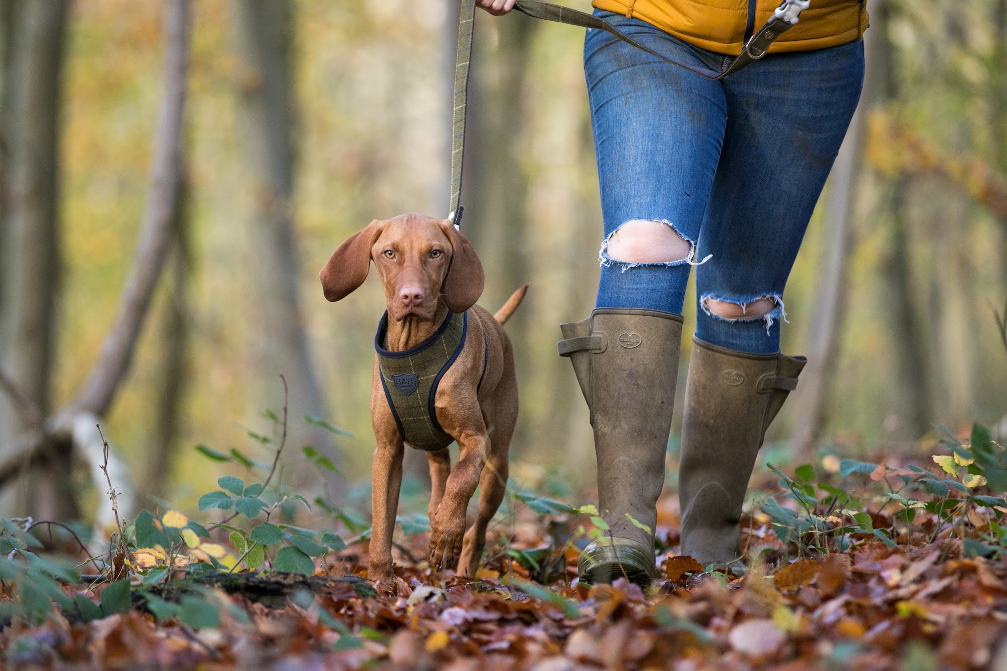 Hugo and Hudson Dark Green Tweed Dog Lead This beautiful dark green checked tweed lead is from the Hugo and Hudson premium fabric collection. It&