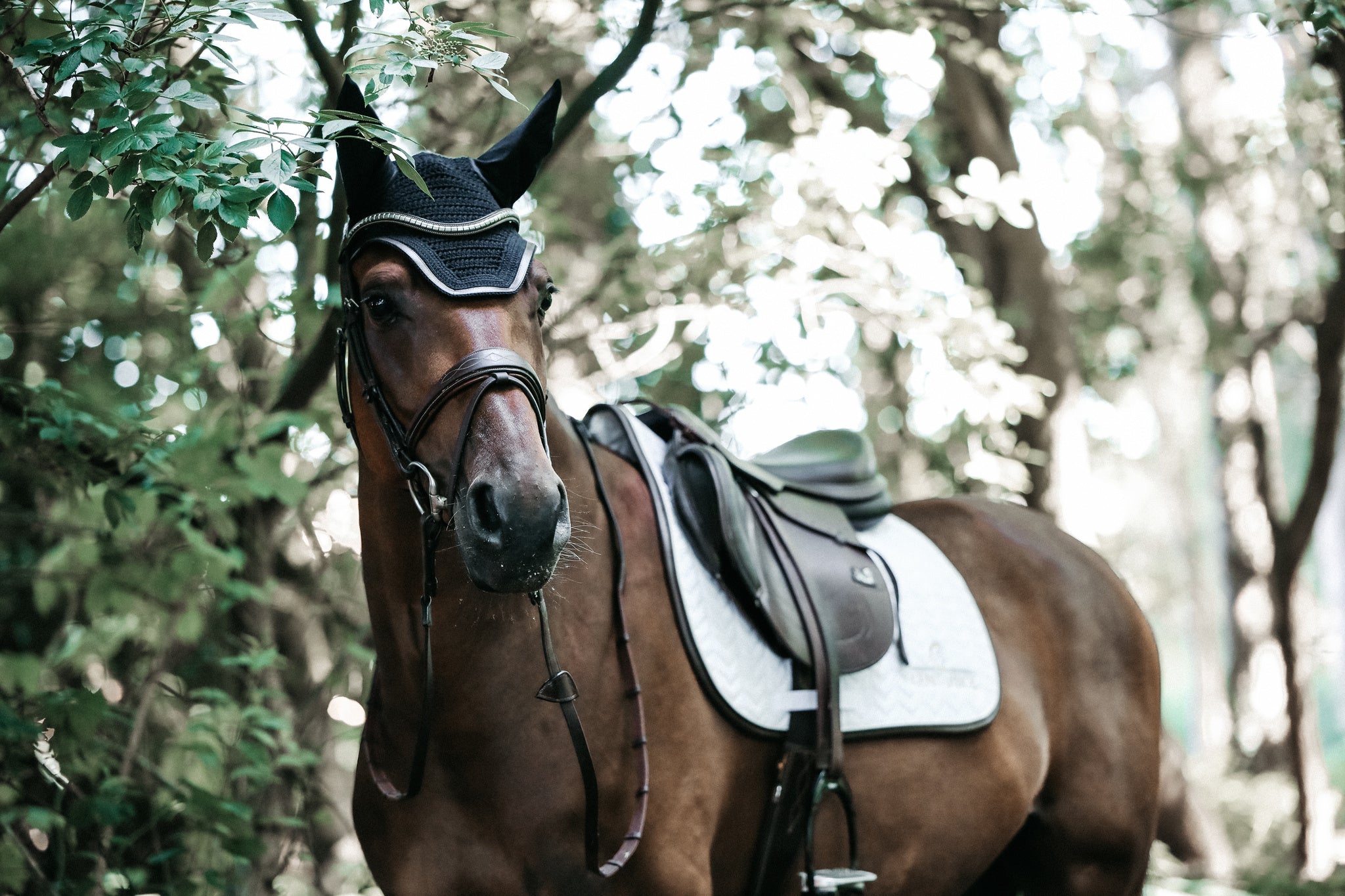 Our Saddle Pad Leather Fishbone is shaped for jumping and provides excellent cushioning between the horse’s back and the saddle while protecting against friction. This saddle pad has a unique fishbone quilting. It has no annoying straps to attach to the saddle, only a nylon strap for the girth. The Saddle Pad Leather Fishbone features a very classy leather binding and the stylish Kentucky logo