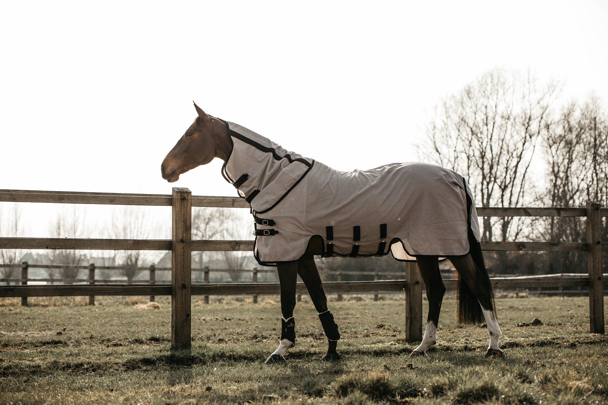 Get rid of any irritations caused by insects with the Kentucky Mesh Fly Rug.