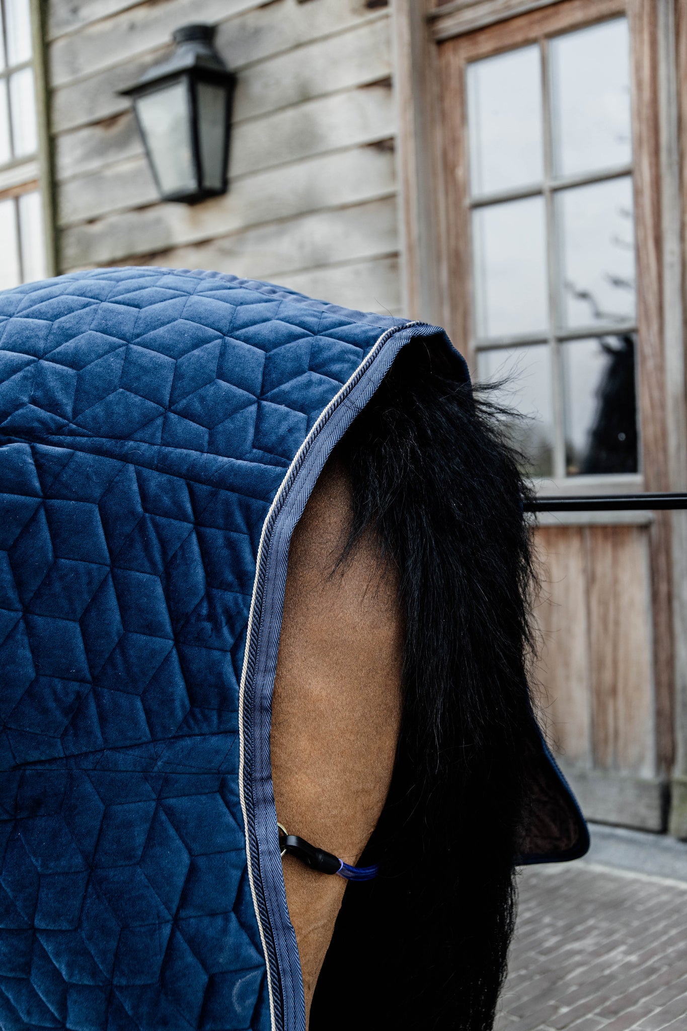 Kentucky Blue Velvet Show Rug