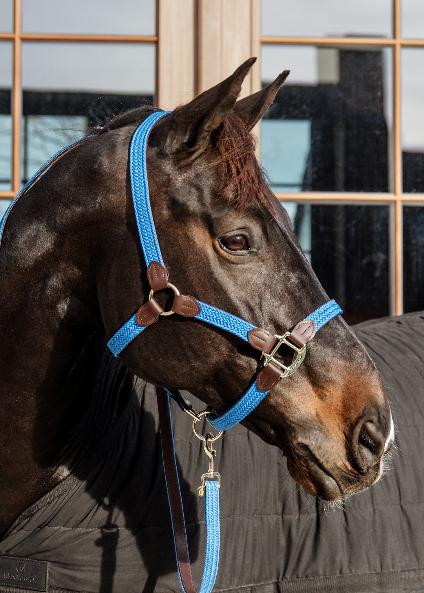 The Plaited Nylon Halter is made of artificial leather (100% animal friendly) and has a nylon braided design. This artificial leather does not absorb water or dirt, does not break or change color.