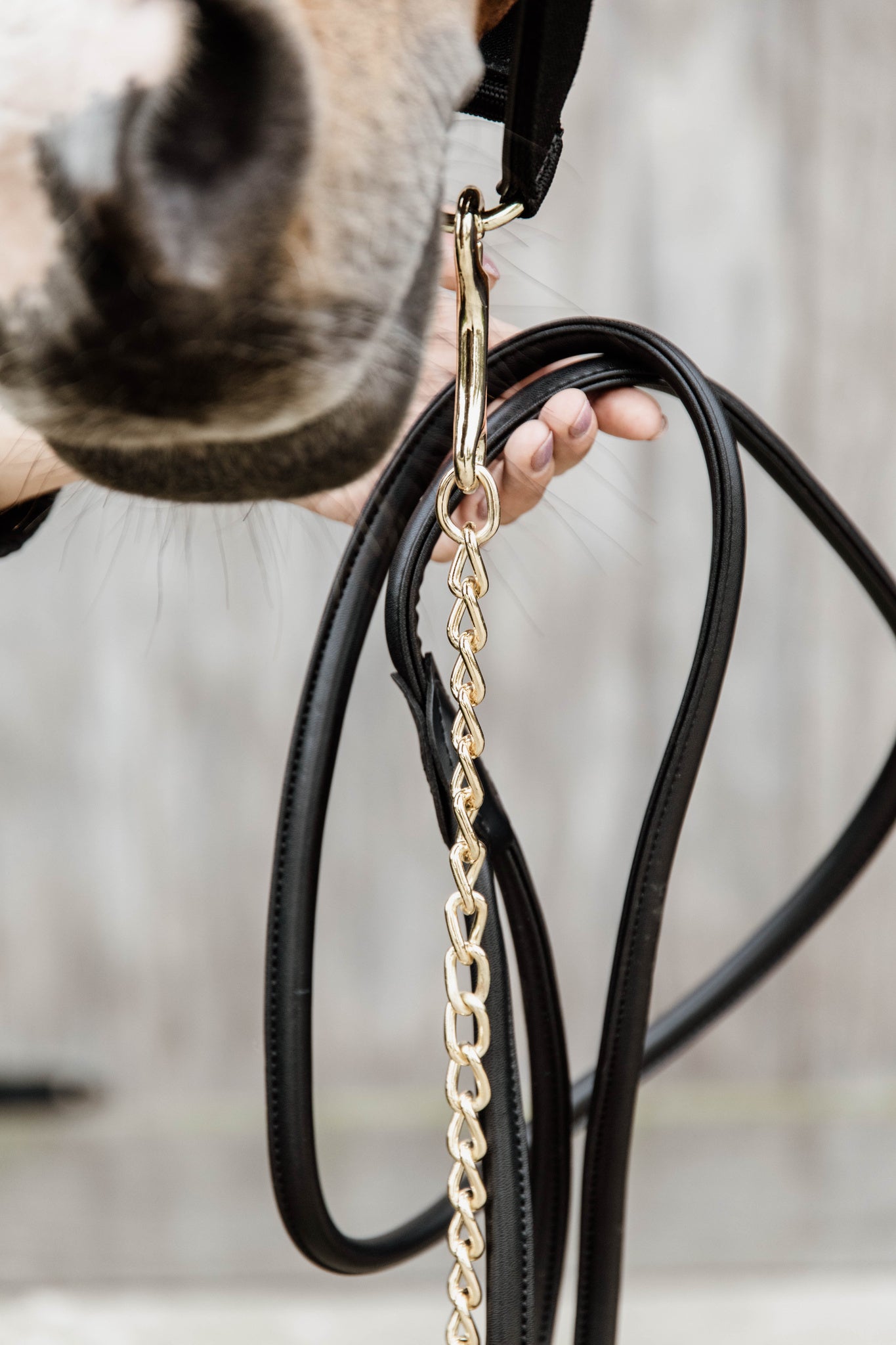 Present your horse in style with this Kentucky leather chain lead. This lead is made from artificial leather, making it water and dirty proof and providing you with easy maintenance. Extremely comfortable to hold with a rolled leather finish and hand loop.