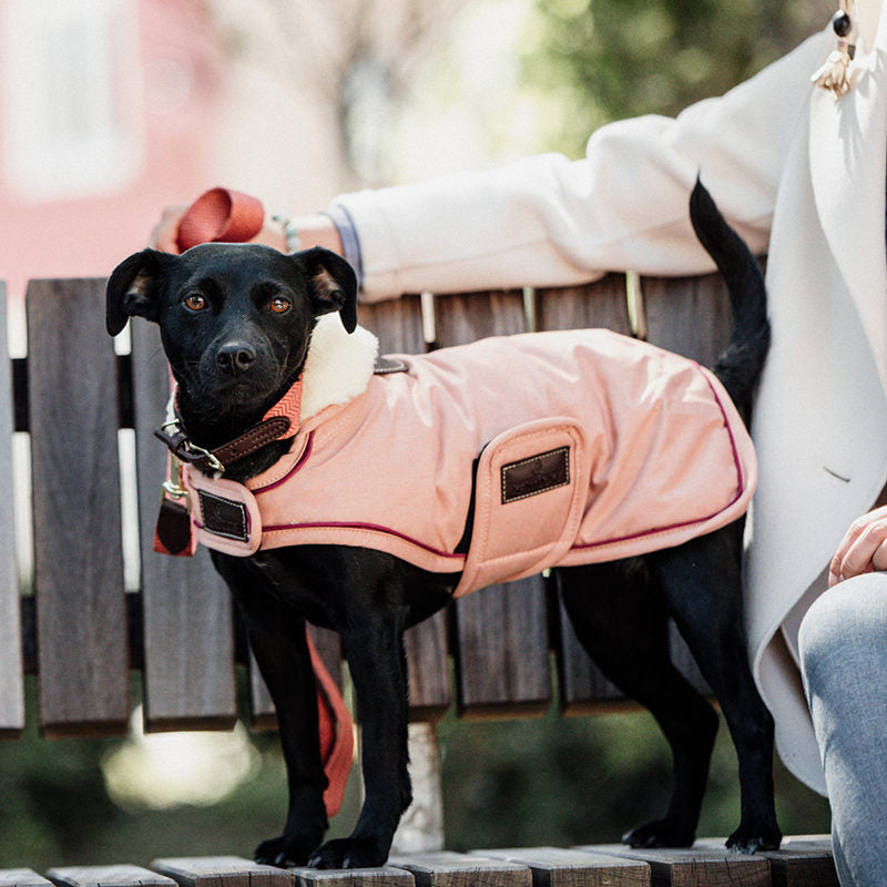 Kentucky Coral Waterproof Dog Coat