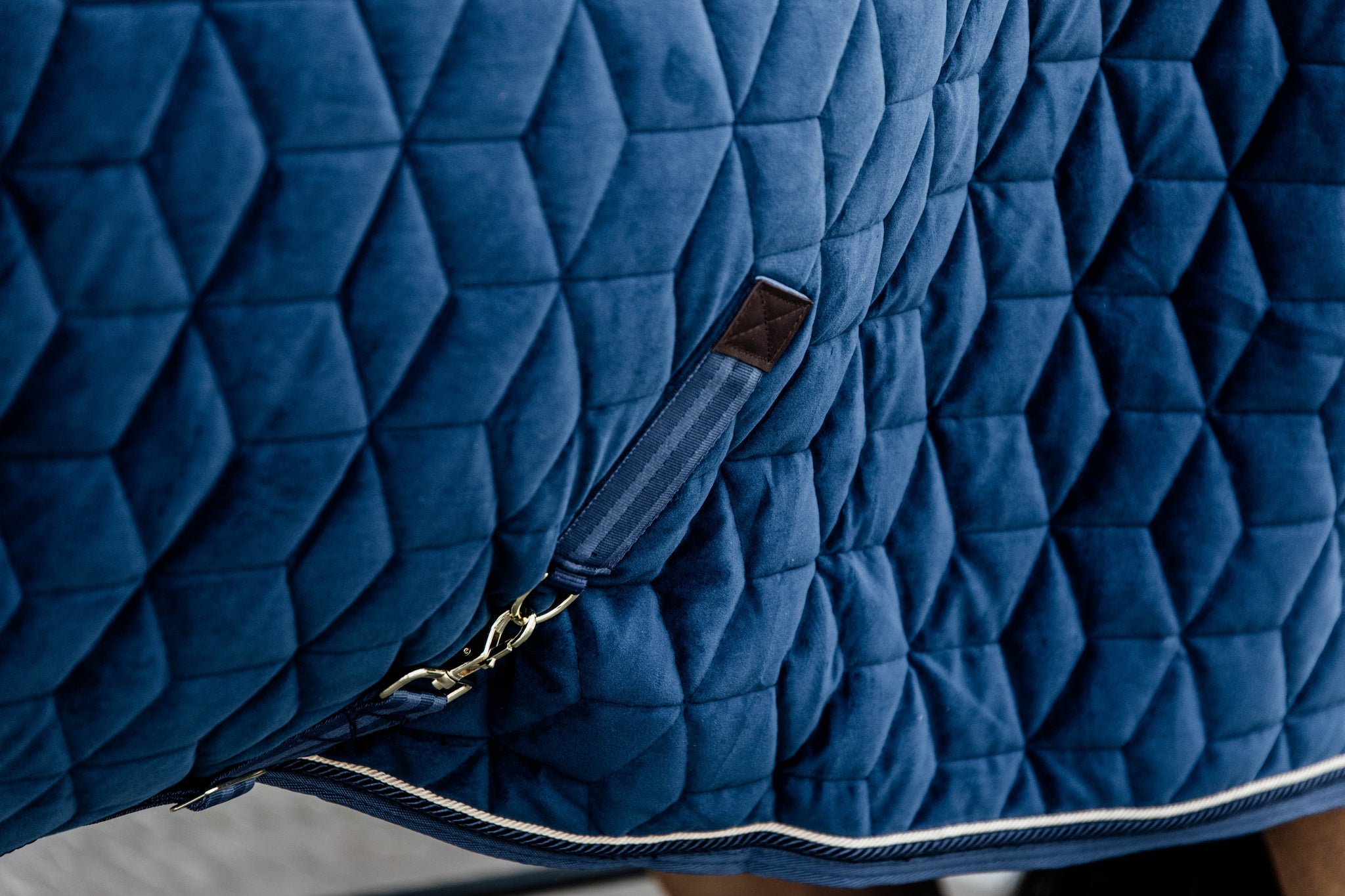 Kentucky Blue Velvet Show Rug