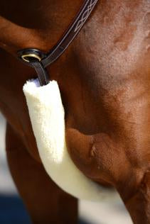 Kentucky Sheepskin Breast Plate Cover