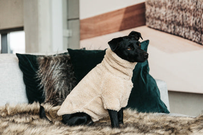 The Kentucky Dogwear Teddy Fleece is made from an extremely soft, comfortable fleeces that your dog will love! Your dog has fully freedom of movement and is ready to face the winter chill in this coat. Thanks to the warm comfortable fleece, this jumper is perfect dog jumper will protect your dog from the cold. The sweater has a very elegant cut which protects the forelegs, the chest as well as the front part of the body. Your dog will therefore be warm whilst still being able to run freely.