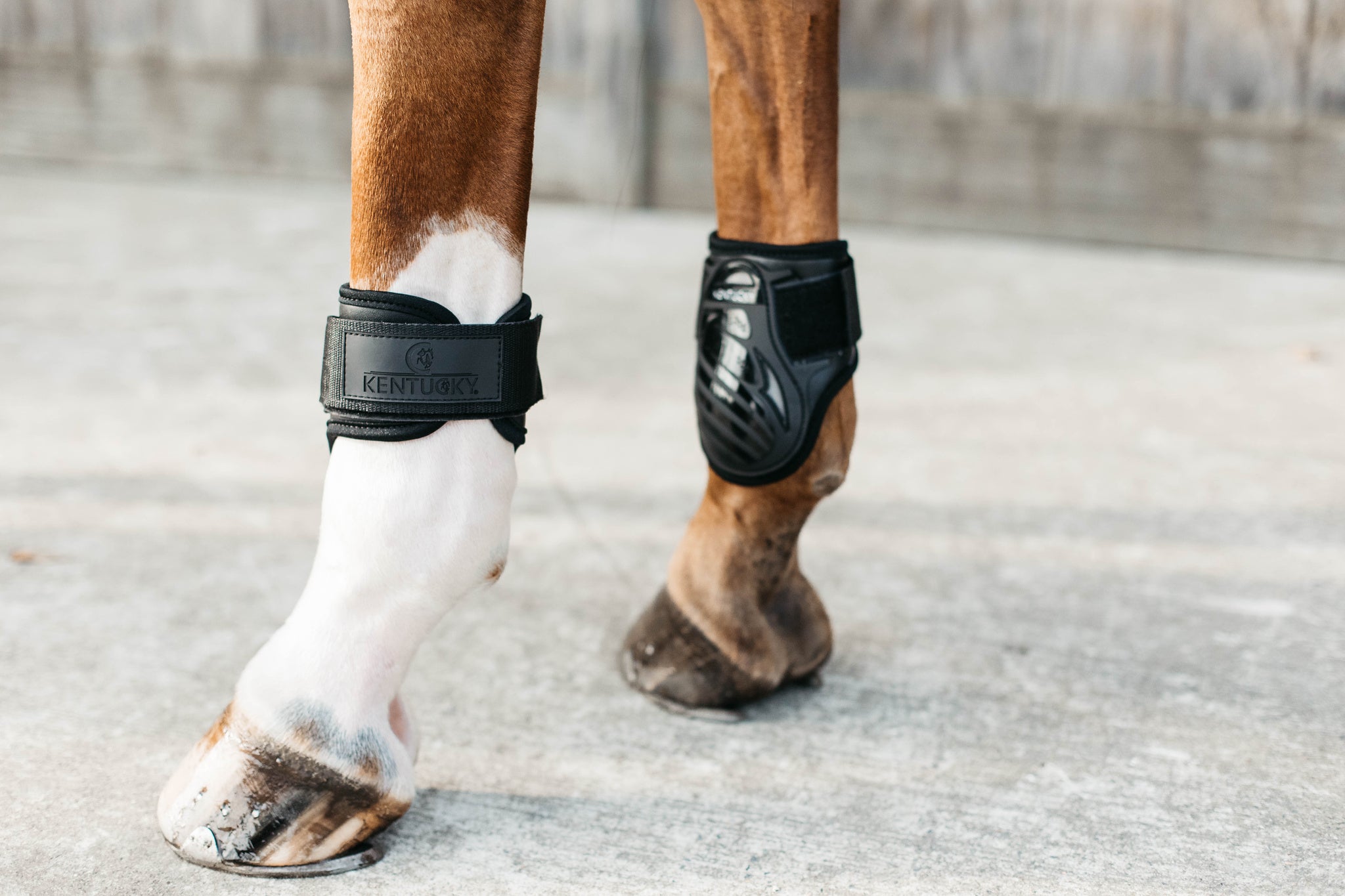 Kentucky Young Horse Fetlock Boots Air are the perfect match for the New Kentucky Tendon Boots Bamboo Shield. Approved for jumping rounds in both FEI and BS the New Kentucky Young Horse Fetlock Boots Air have a double Velcro fastening helping to keep your boot securely fastened. The secure fastening prevents the boot turning when jumping or exercising and therefore keeps the horses hind legs consistently protected.