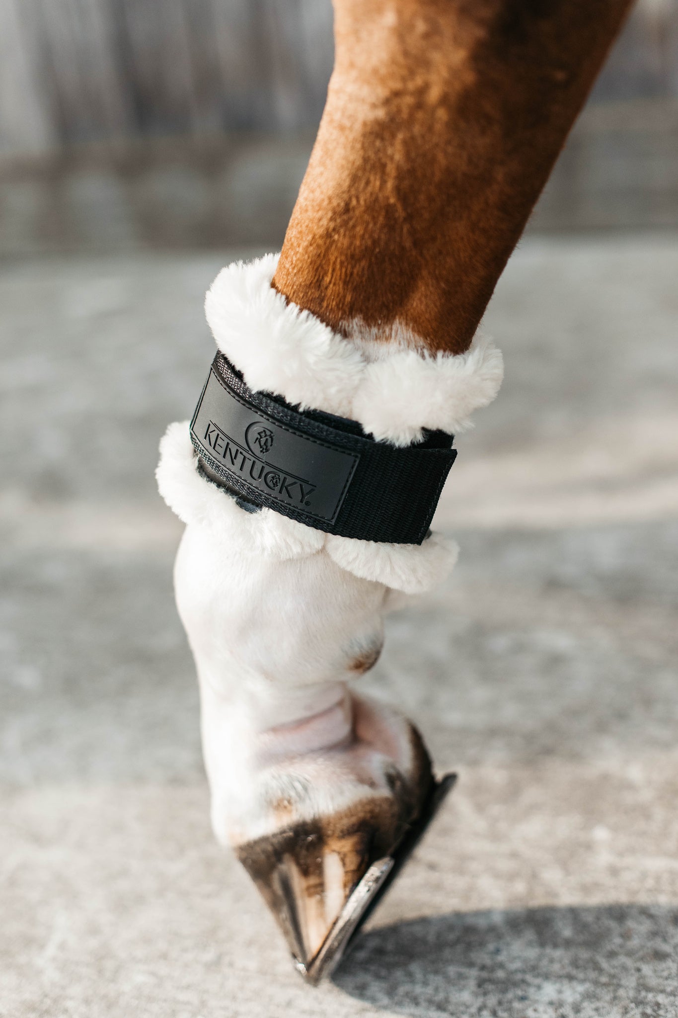 Kentucky Sheepskin Young Horse Fetlock Boots Air are the perfect match for the New Kentucky Tendon Boots Bamboo Shield.