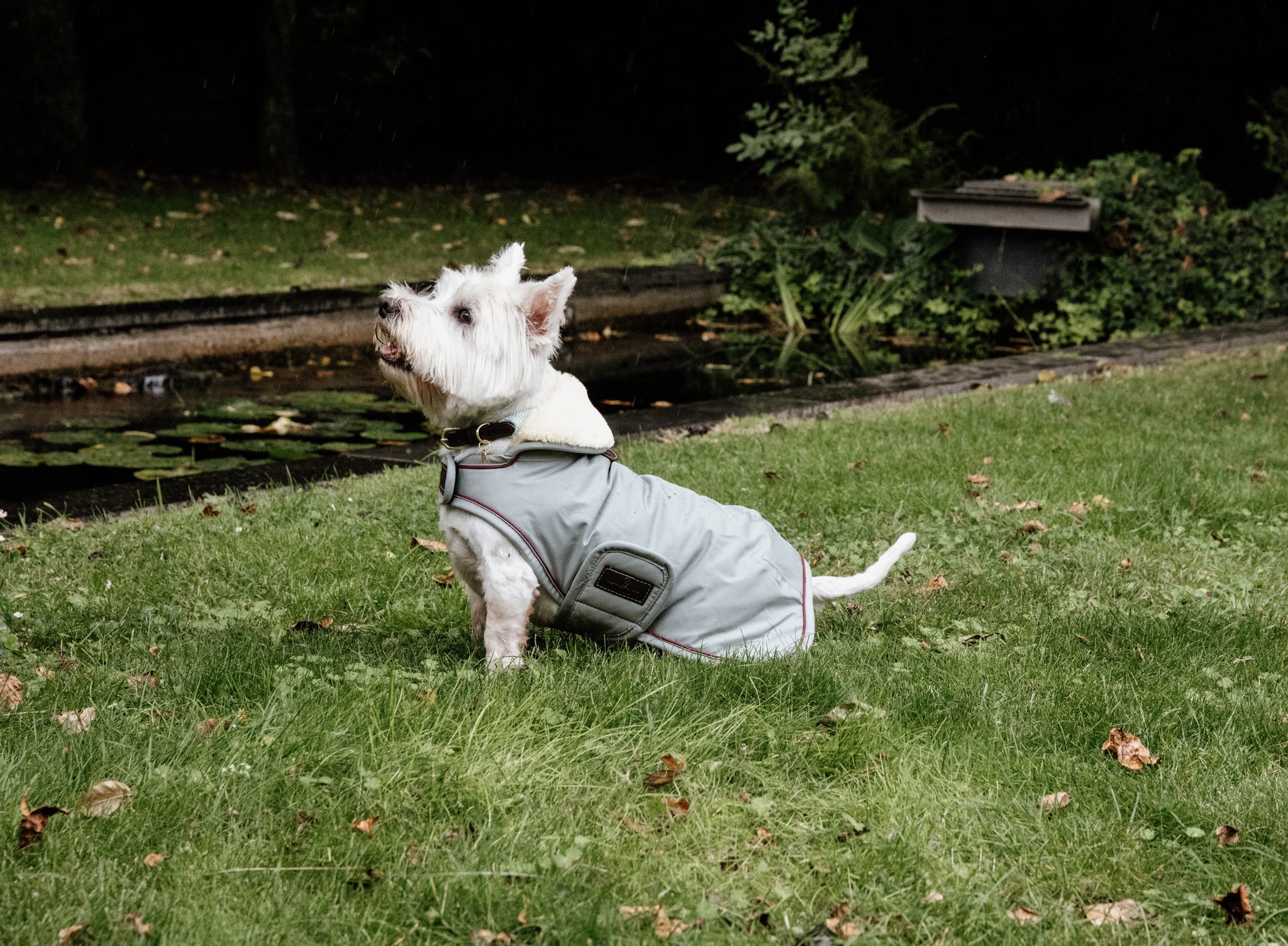 The Kentucky Grey Waterproof Dog Coat offers every dog a dry, warm rug during the cold and wet winter days. Filled with a warming 160g and also featuring an artificial faux fur lining for extra comfort. This also creates tiny air pockets that trap and retain the body heat of the dog.