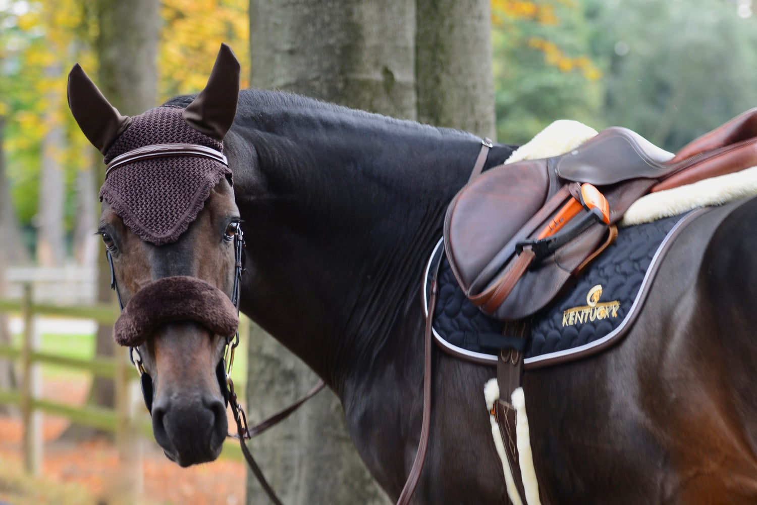 Kentucky Sheepskin Nose Band Cover