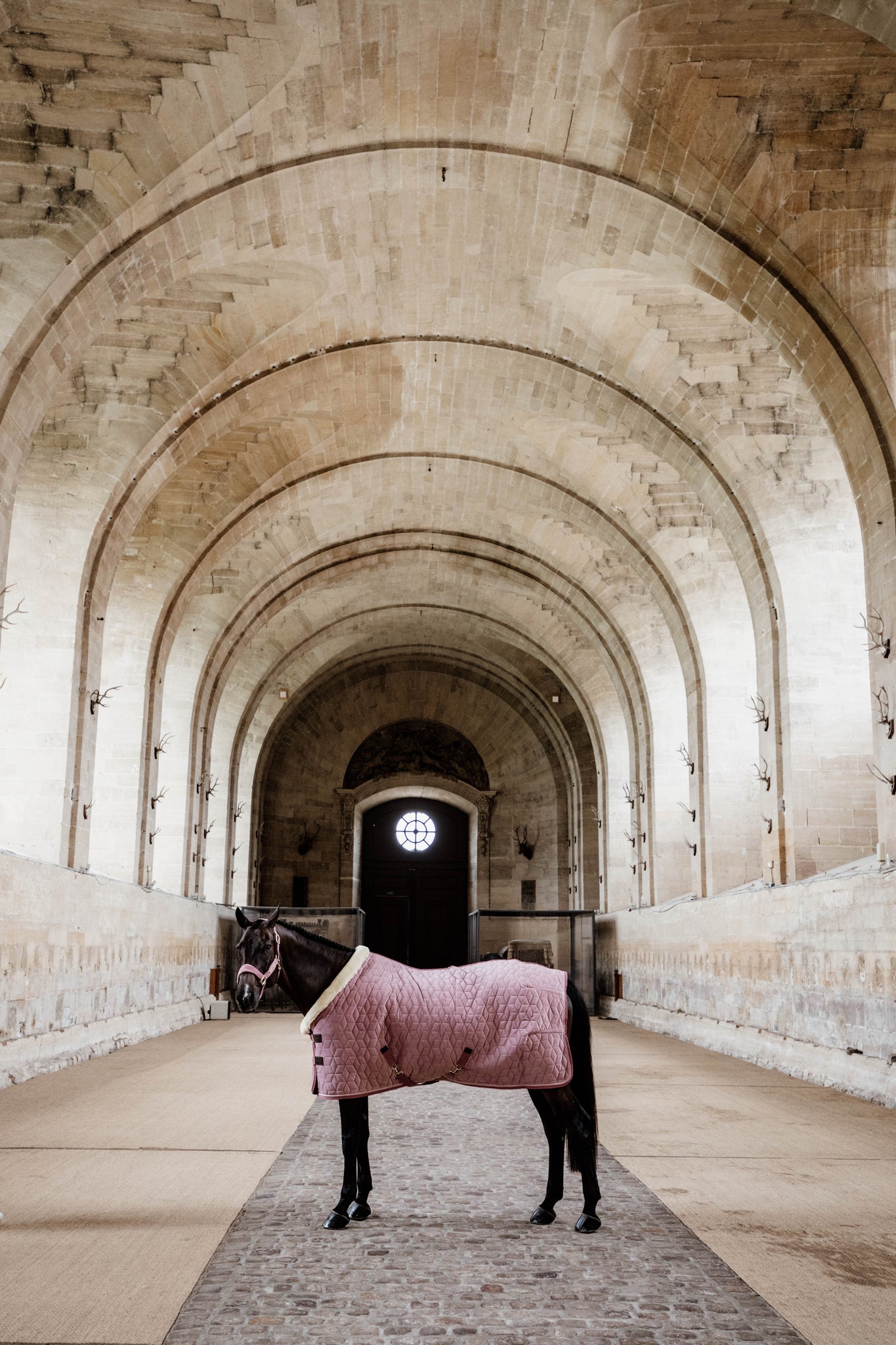 Kentucky Pink Velvet Show Rug
